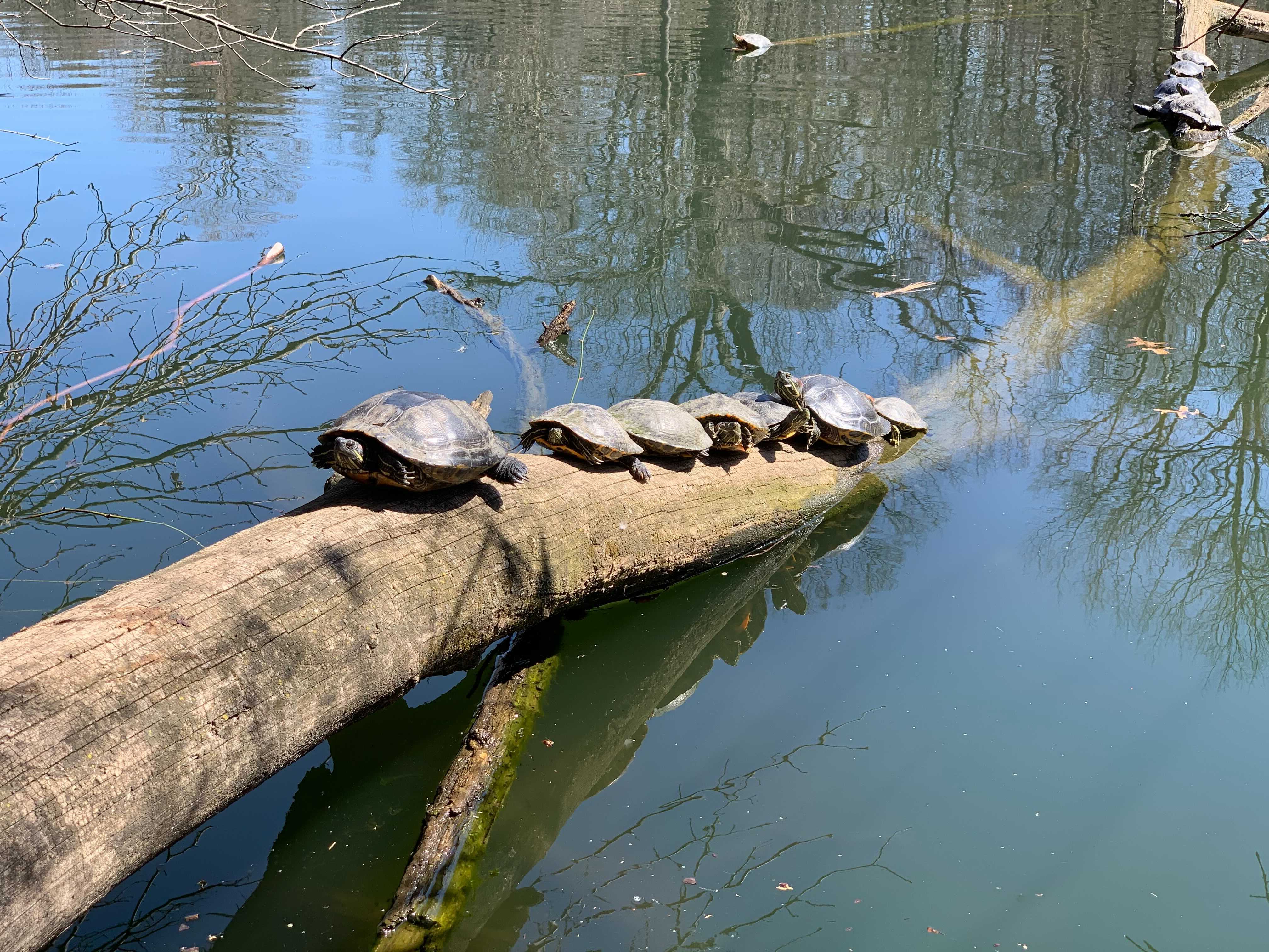 Extra, Extra: Spring Breakers Determined To Defy Miami SWAT Teams And Party On