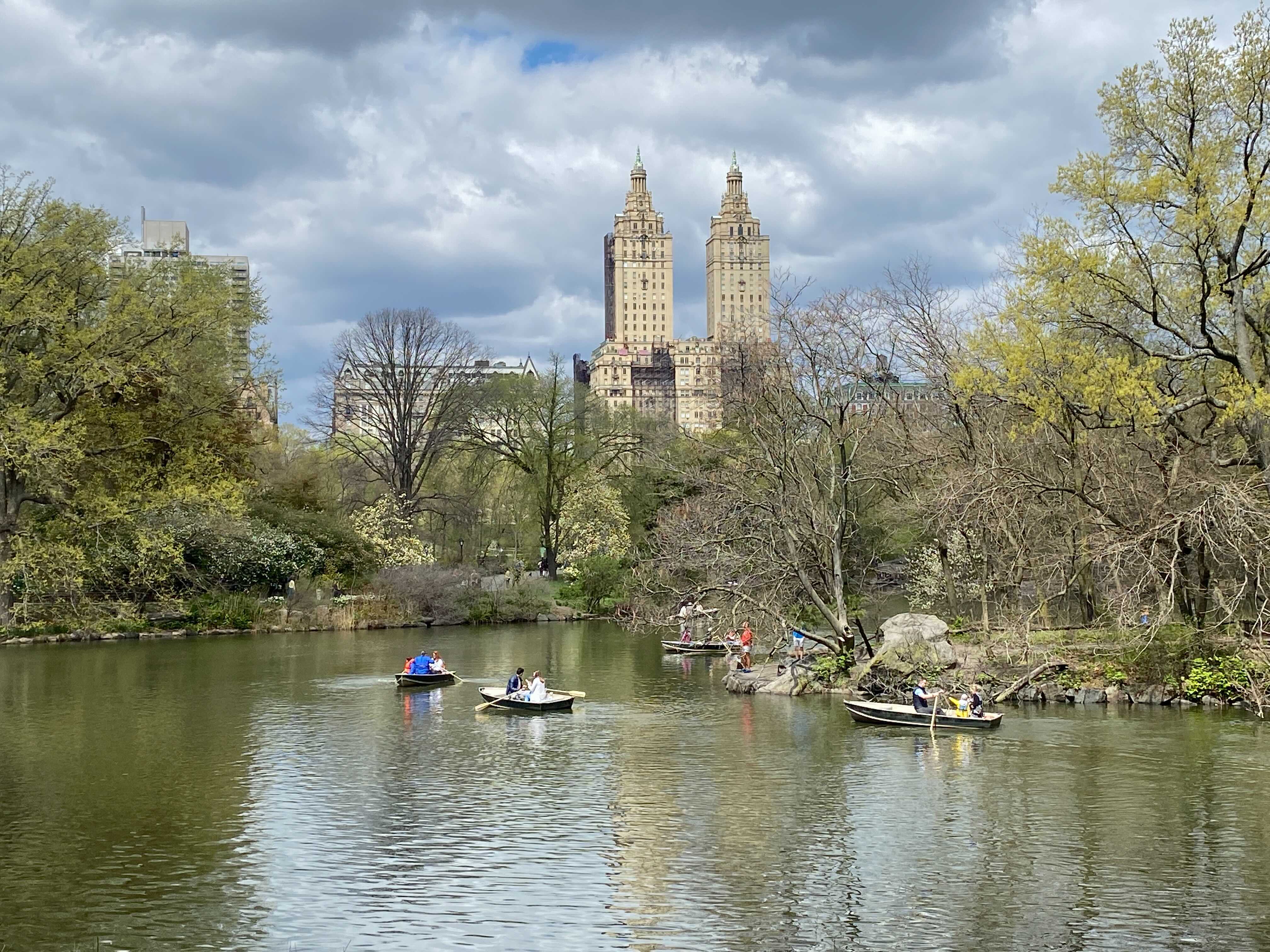People rowboat in a pond in Central Park