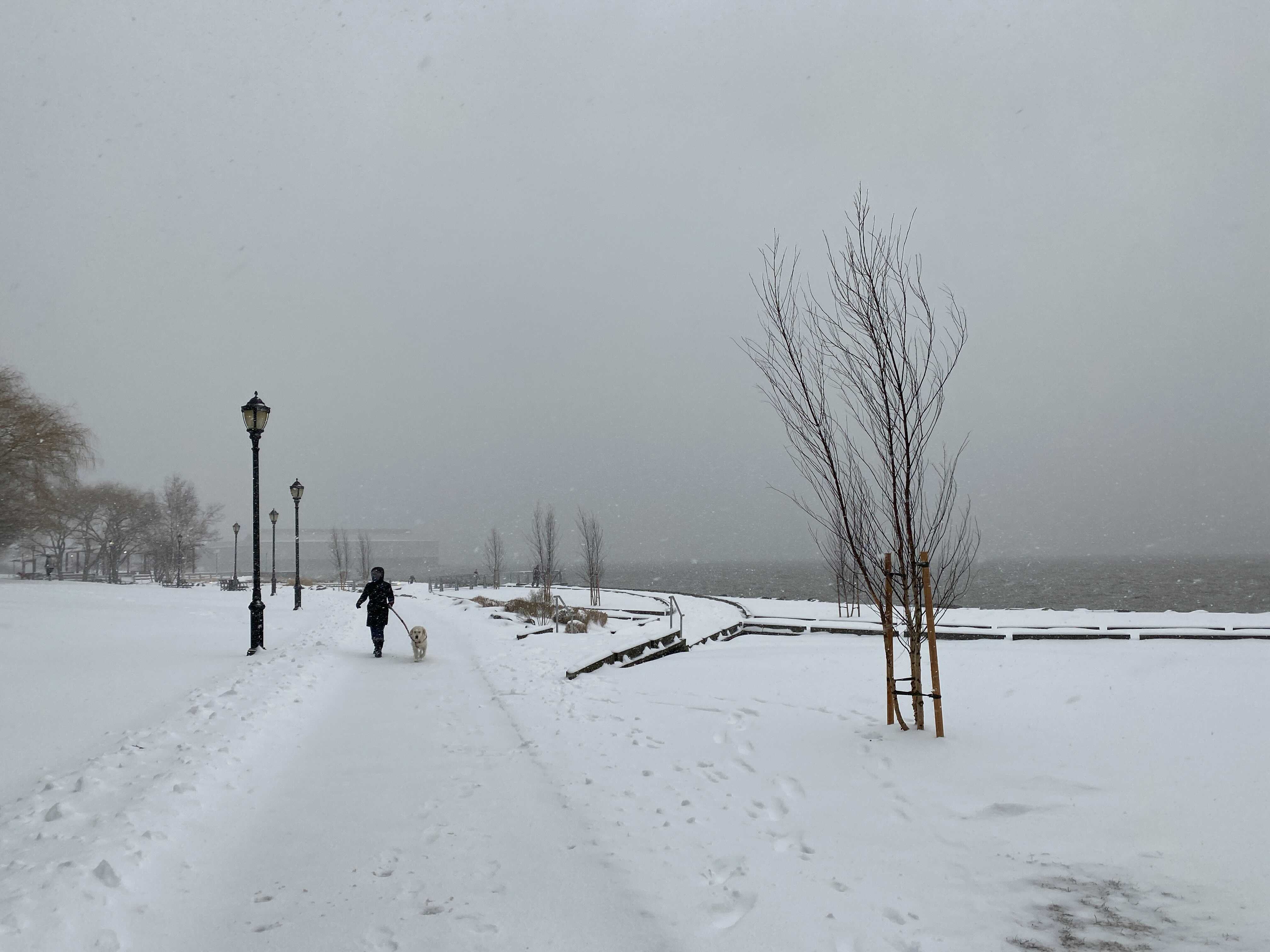 The Blizzard Is Here: De Blasio Declares NYC State Of Emergency