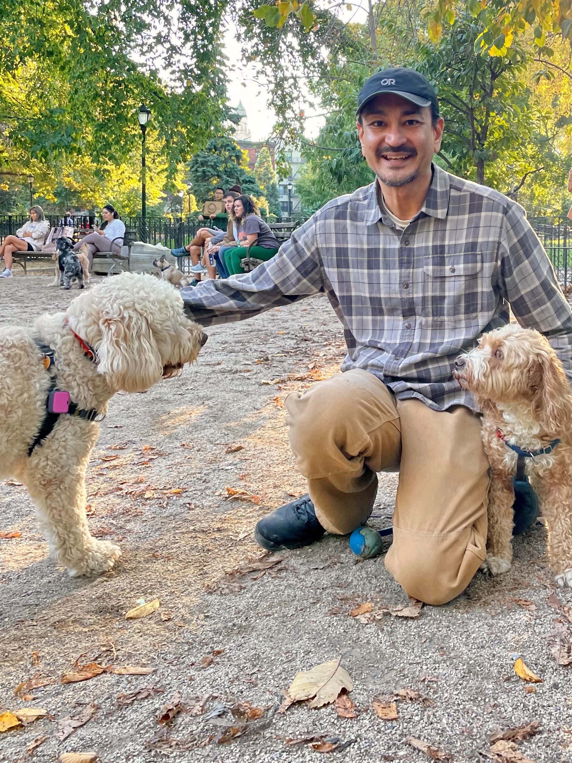 2019 New York Barkfest Dog Halloween Costume Contest – New York Daily News