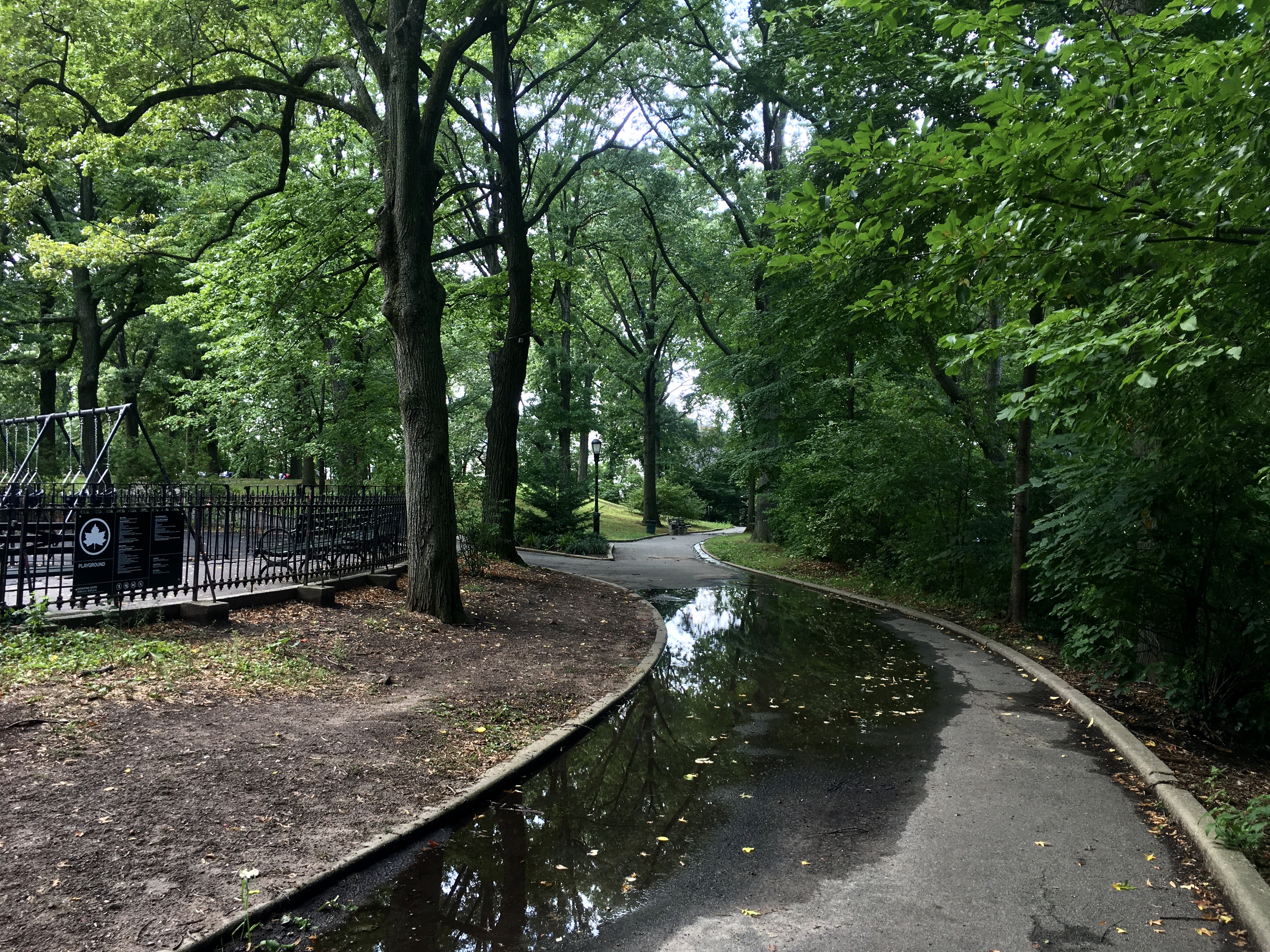 Opponents seek to grind skatepark in Brooklyn’s Mount Prospect Park to a halt