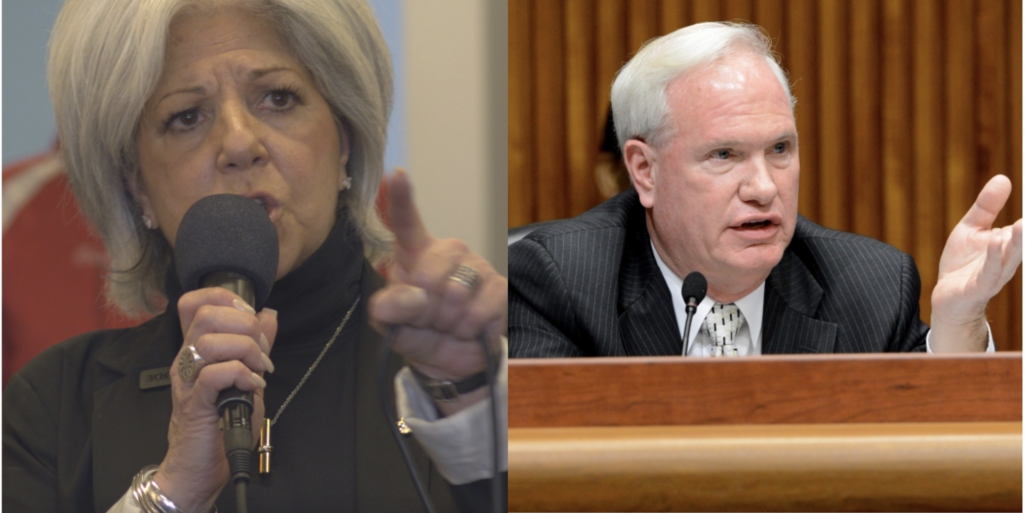 Queens rematch: Pro-Trump Councilmember Vickie Paladino faces Democrat Tony Avella