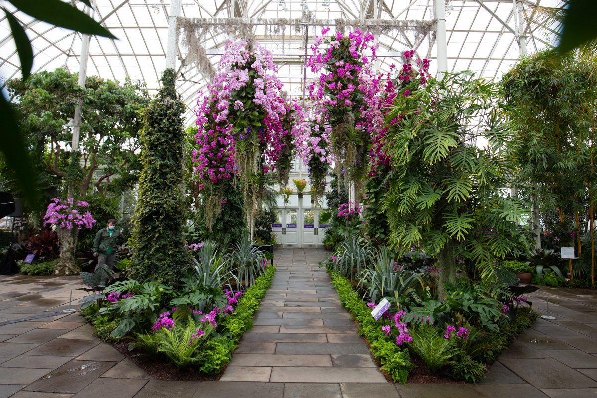 Photos: A subtle Orchid Show blooms at the New York Botanical Garden Photos: A subtle Orchid Show blooms at the New York Botanical Garden