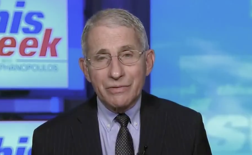 Coronavirus Updates: Dr. Fauci Explains COVID Deaths Are Real, Contradicting Trump