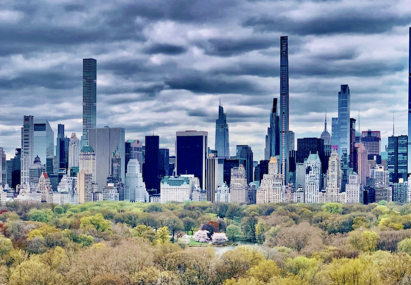 A landscape shot of the city skyline with blooming trees in the foreground in Central Park.