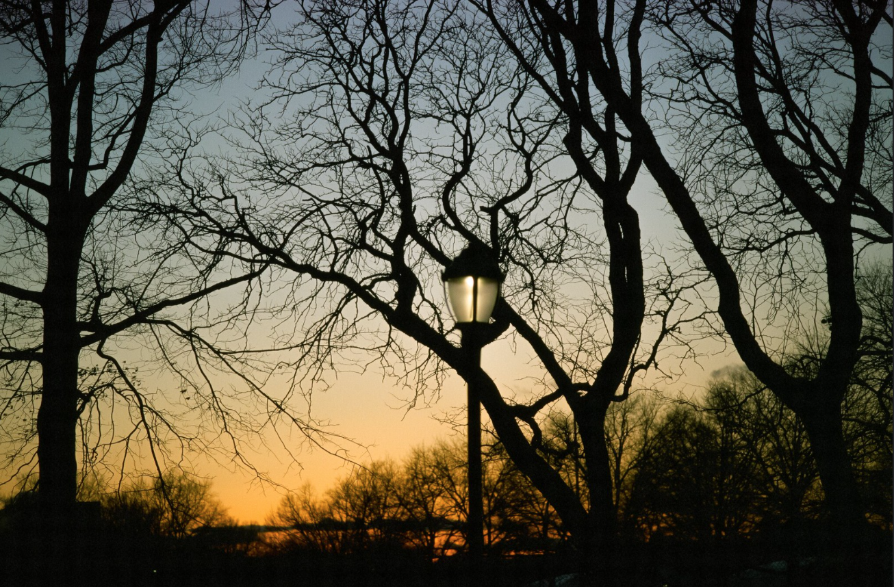 A photo of sunset at the Parade Grounds in Prospect Park