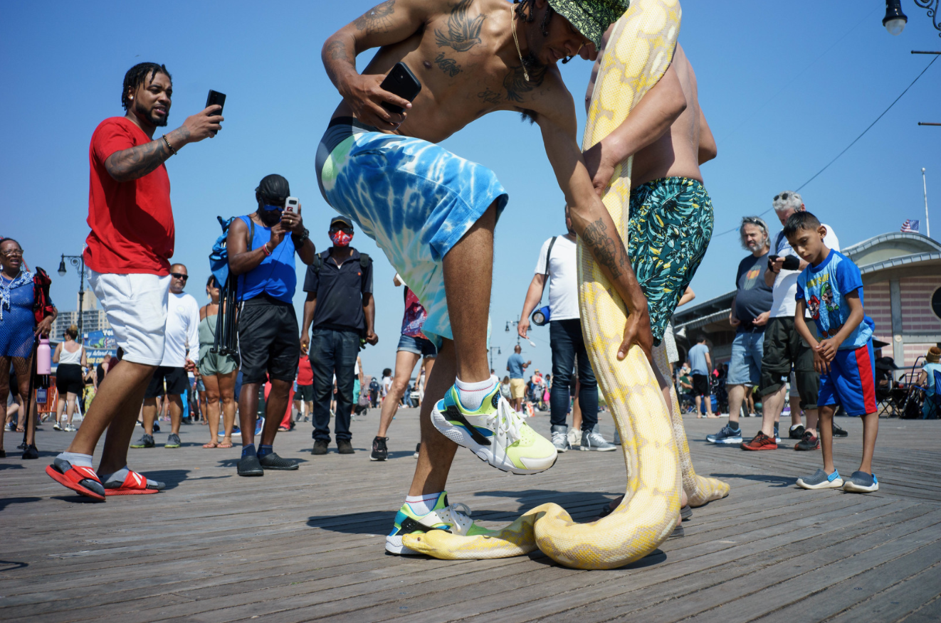 Extra Extra: Ellie Kemper Apologizes For Participating In Veiled Prophet Ball