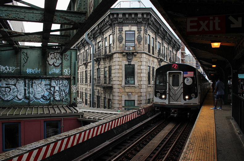 Extra Extra: Anyone Have Any More Information About This Human Skull That Turned Up In Queens?