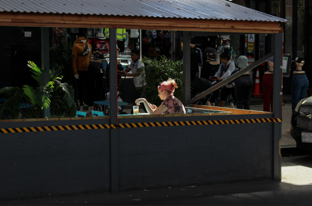 Extra Extra: Why You Might Want To Check Your Toilet For Bats