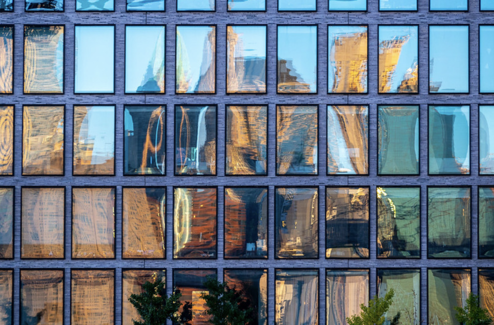 Early Addition: Vax Daddy Is Running For Office In Queens