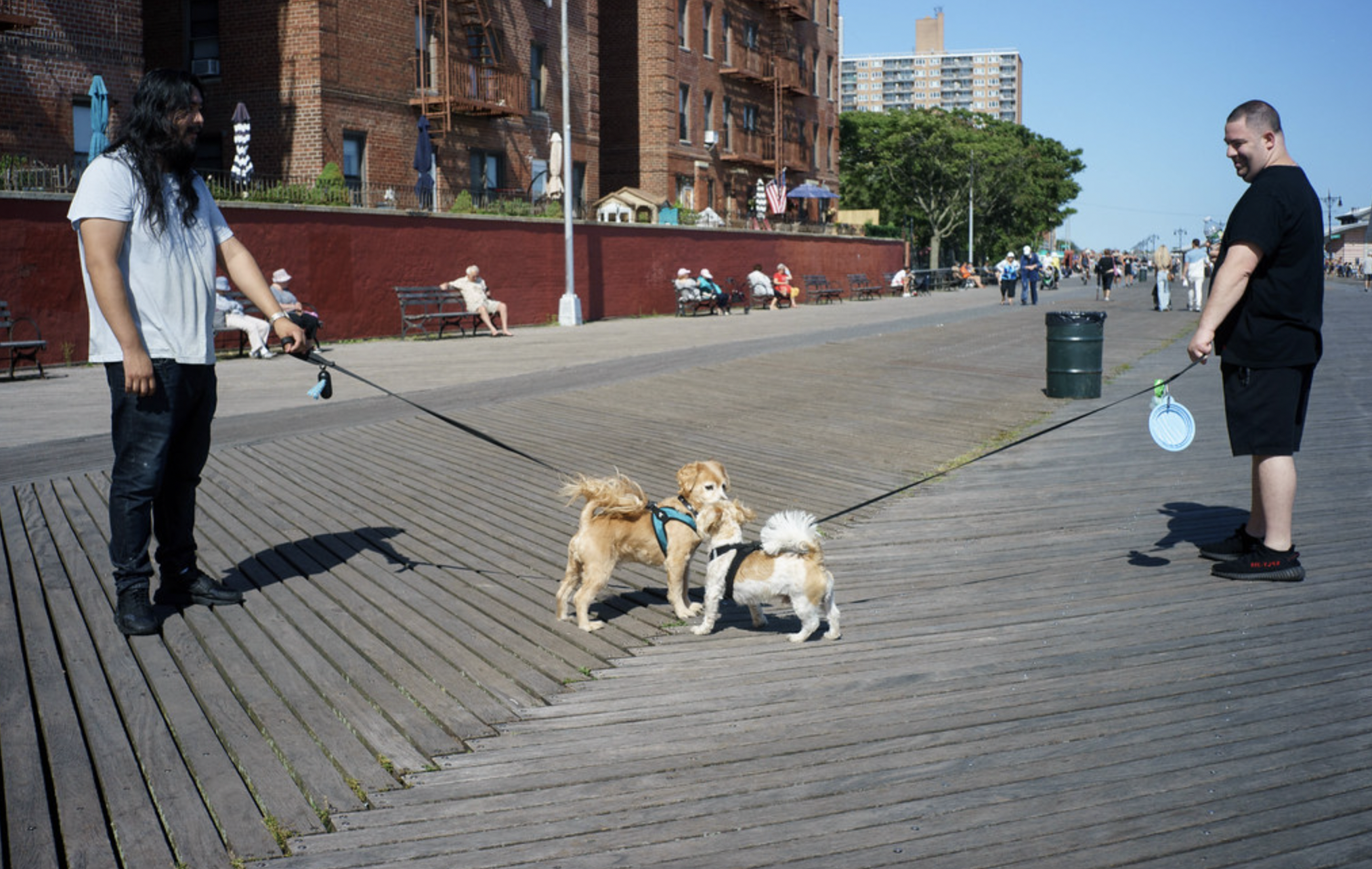 Early Addition: Living in NYC is statistically way safer than living in rural America, where there are venomous snakes and lizards
