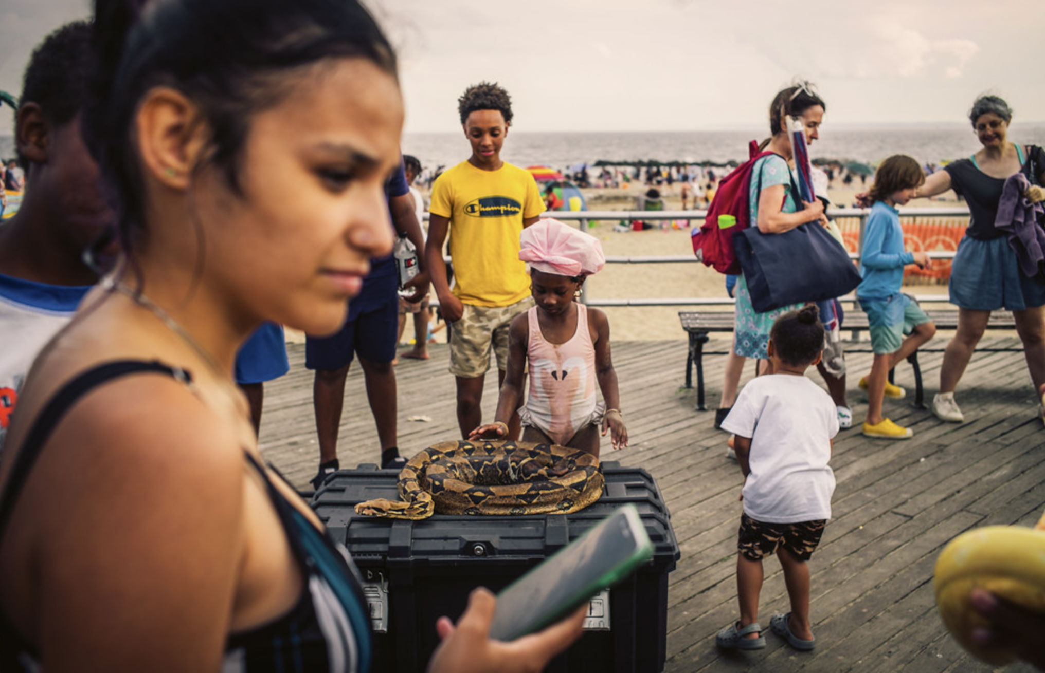 Early Addition: Justice for the Gentleminions