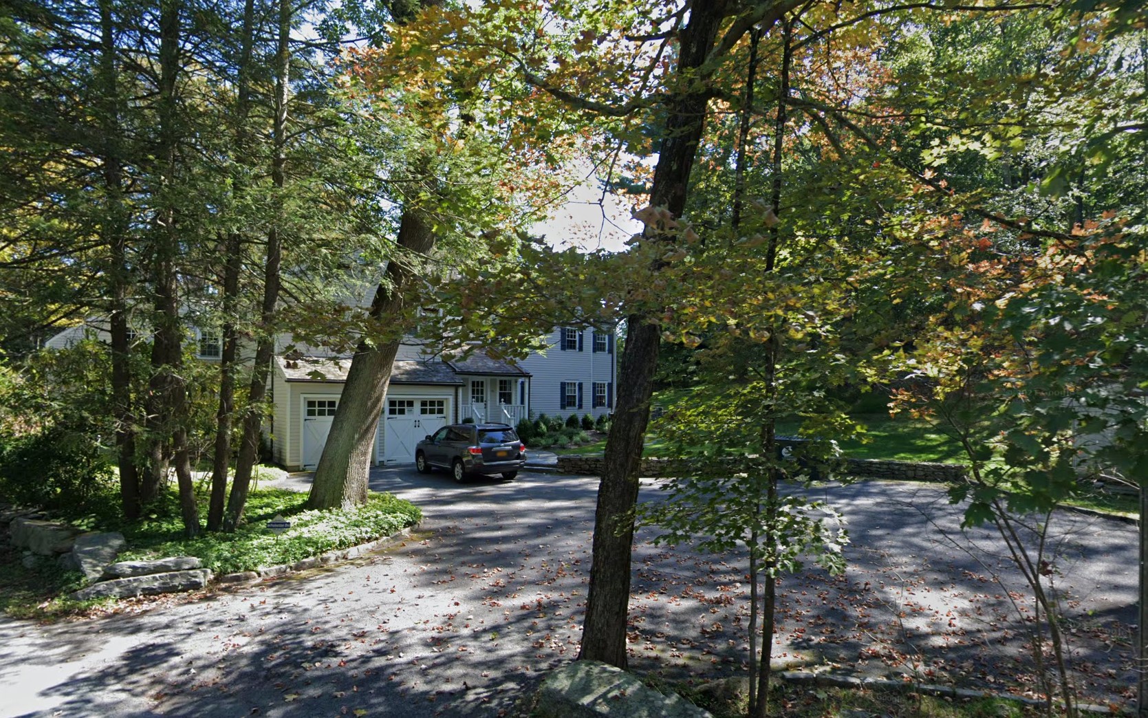 Bear euthanized after attacking 7-year-old boy in Westchester