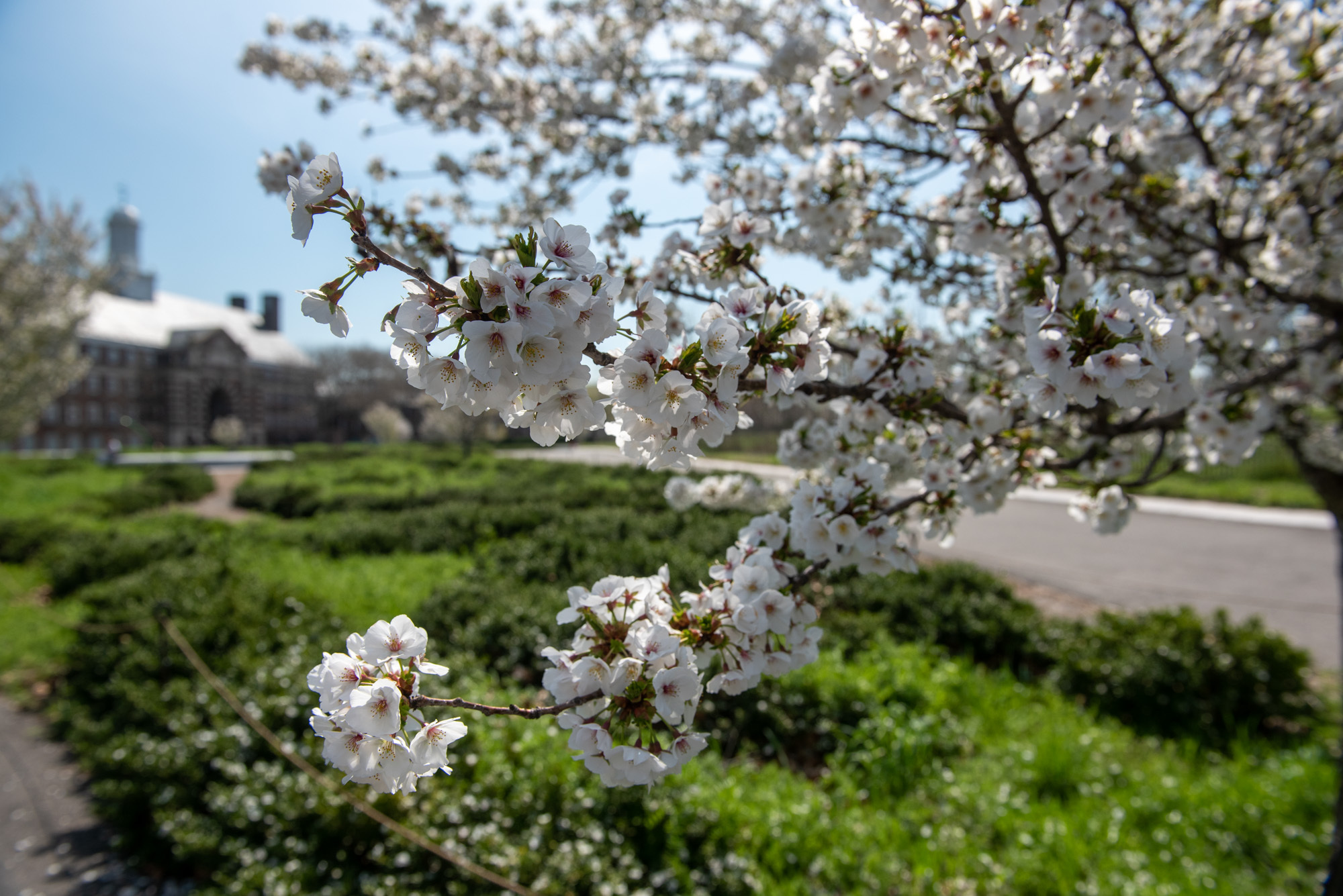 How to celebrate Earth Day in NYC: Events, outings and open streets