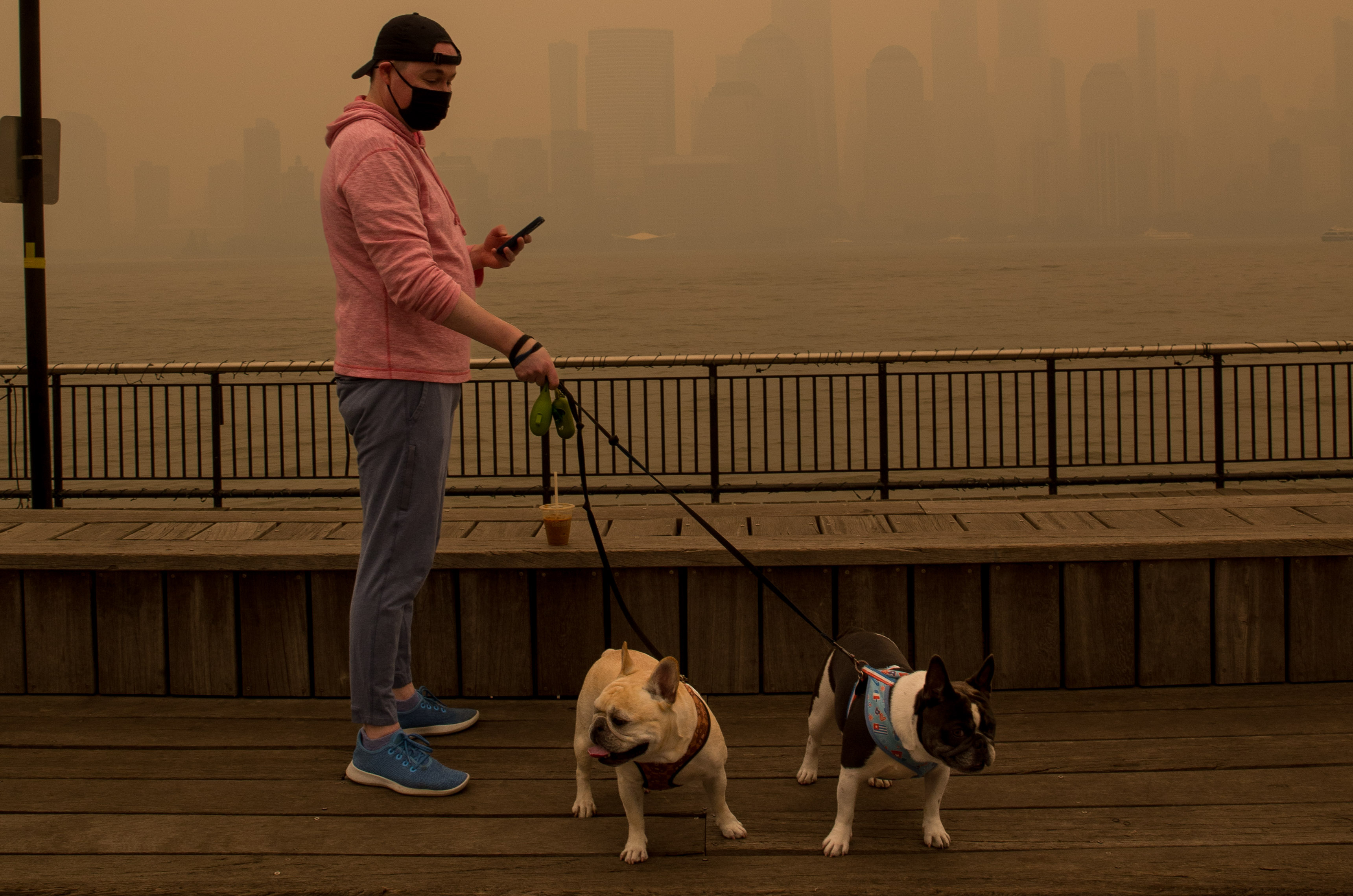 How to keep your pets safe as NYC grapples with unhealthy air