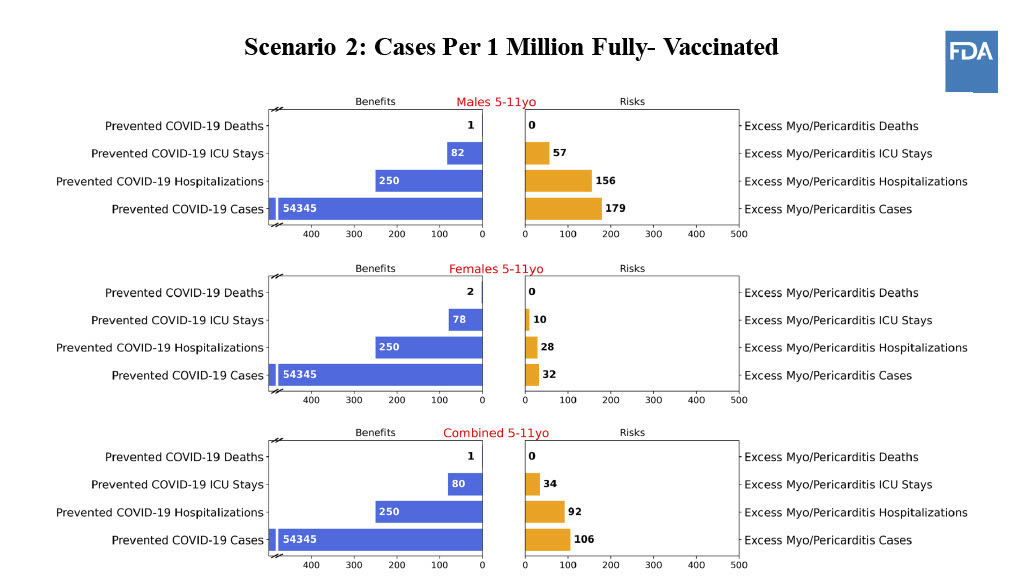 FDA modeled a hypothetical scenario where COVID cases are 20% higher and hospitalizations are 30% higher in children relative to the rates recorded in mid-September. In that scenario, the benefits of preventing COVID cases, hospitalizations and deaths outweighed the risks of myocarditis. The vaccines haven't been given to enough young kids to know the true rate of myocarditis, so in this model, the FDA assumed that younger kids would experience myocarditis at similar rates as what's been observed for teenagers.