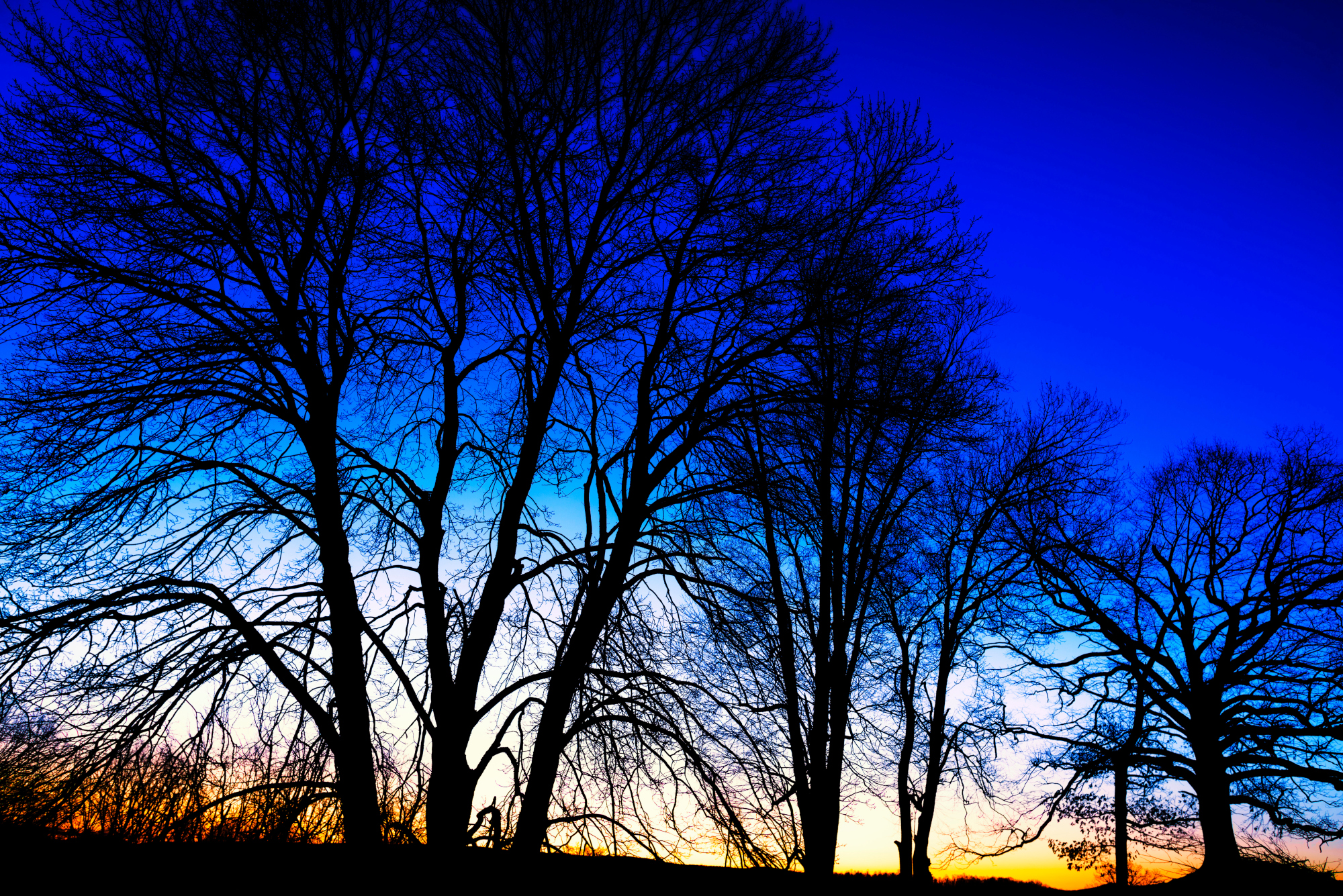 The Earth is tilting toward the sun on March 20 The Earth is tilting toward the sun on March 20
