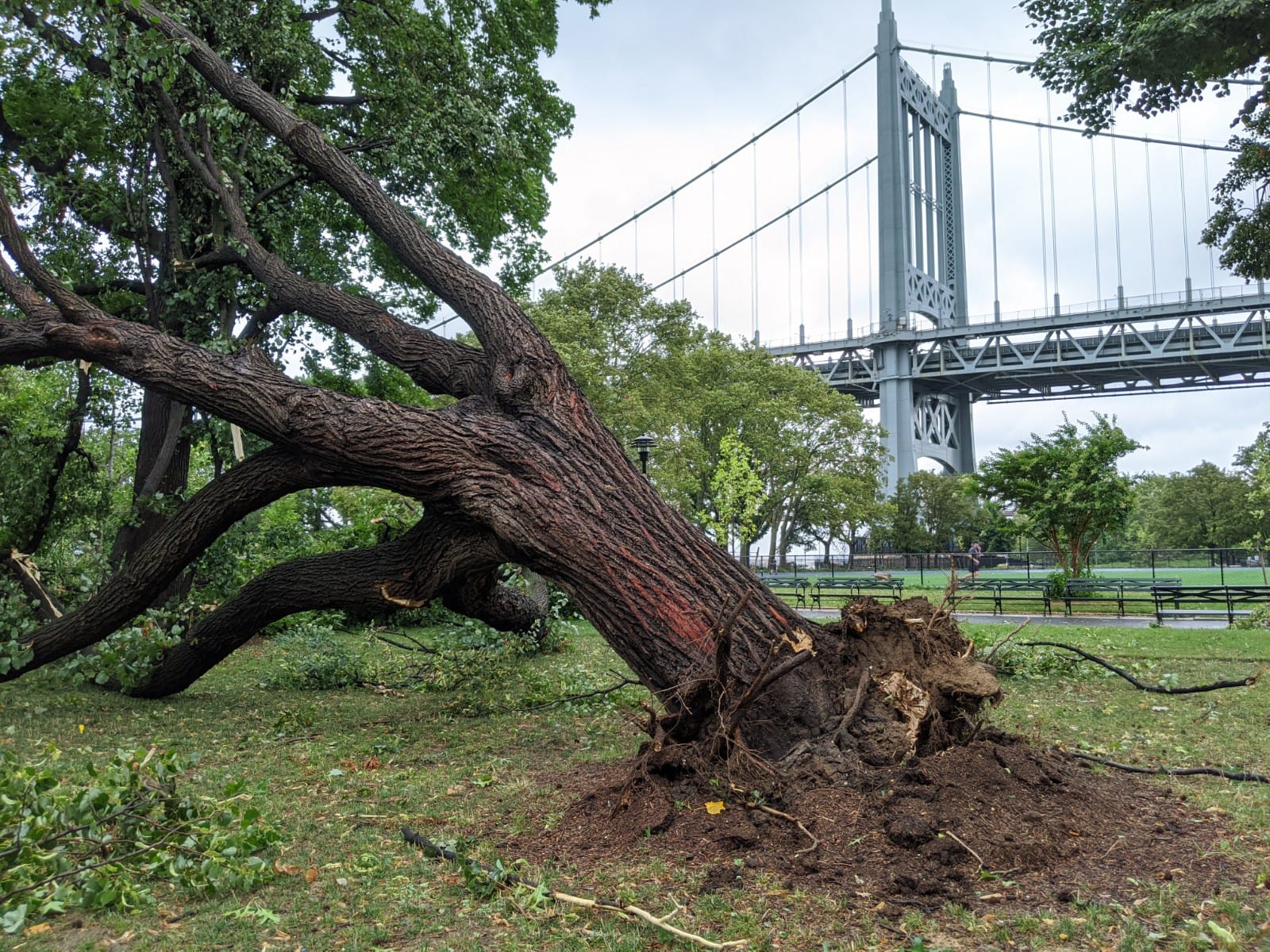 Power Outages Across NY And NJ May Persist For Days After Tropical Storm Isaias