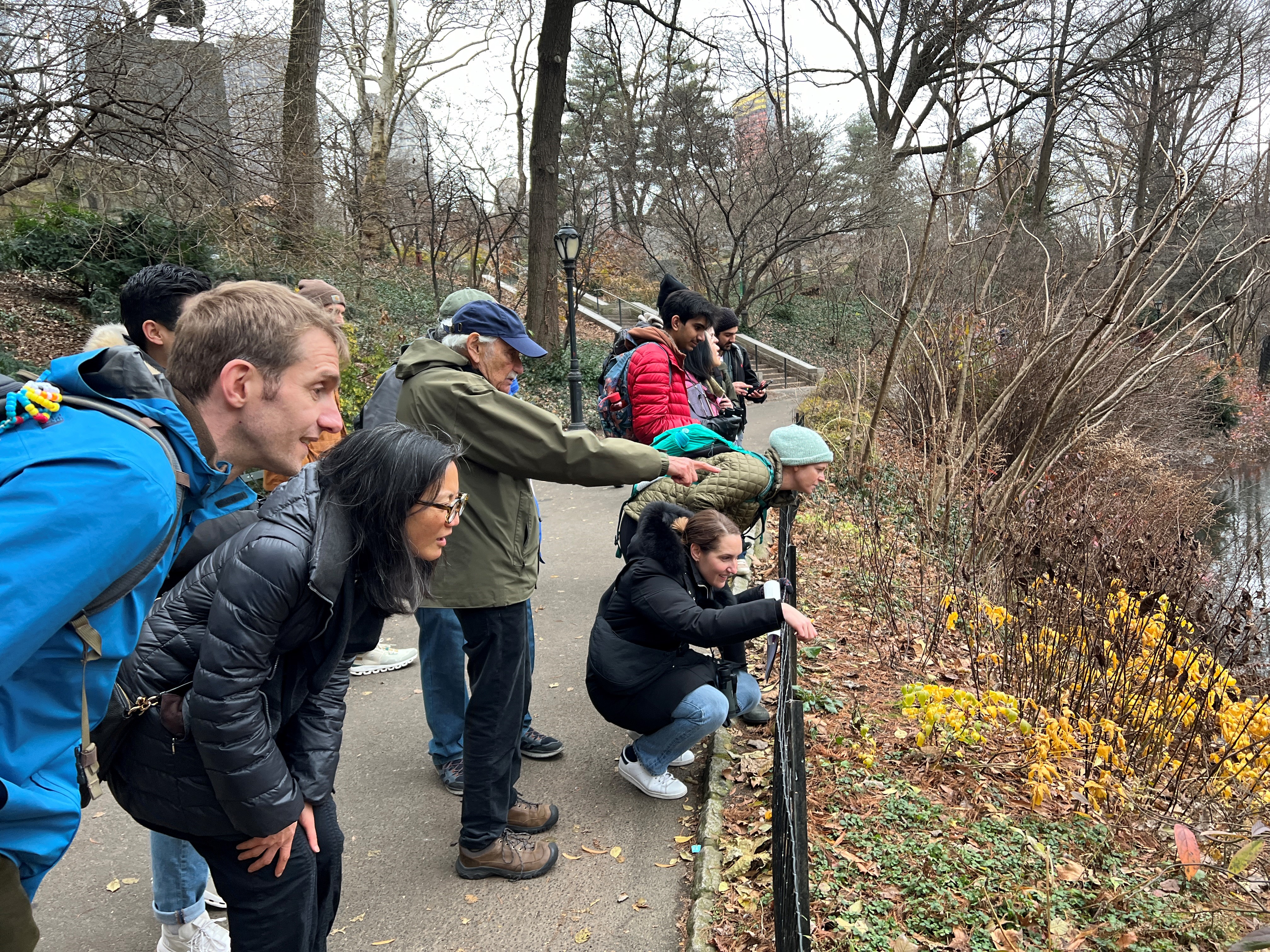 Central Park Christmas Bird Count finds more birds staying north due to climate change