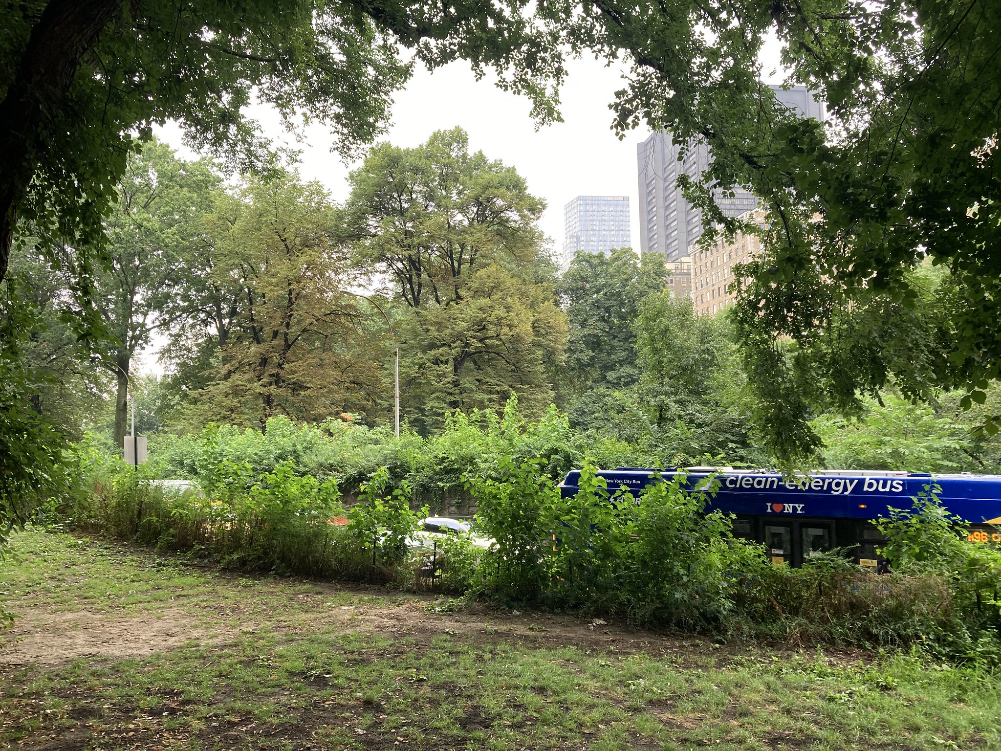a blue MTA bus cuts through Central Park