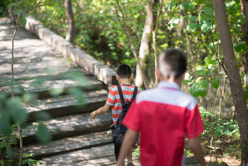 Cuomo: NY Summer Camps Must Require Masks For Unvaccinated Kids And Staff