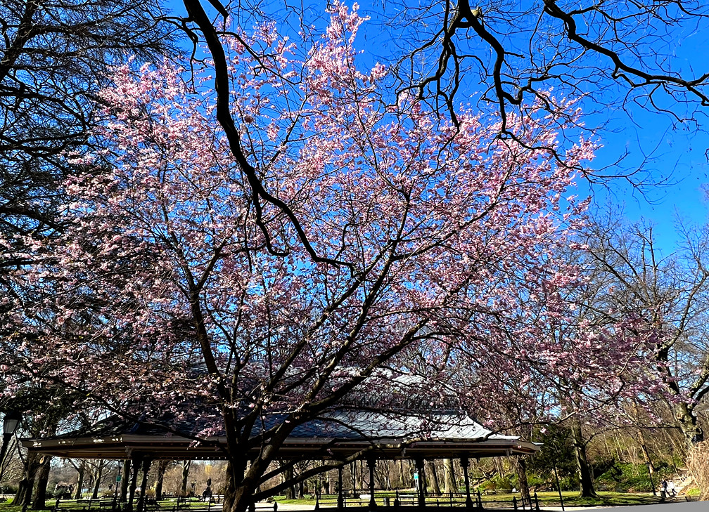 Early Addition: Kathy Hochul needs a new running mate