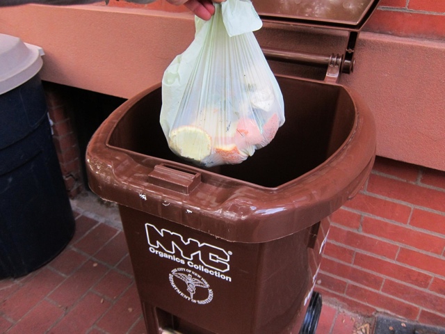 With community bins and organic waste collection, composting expands to NYC school system