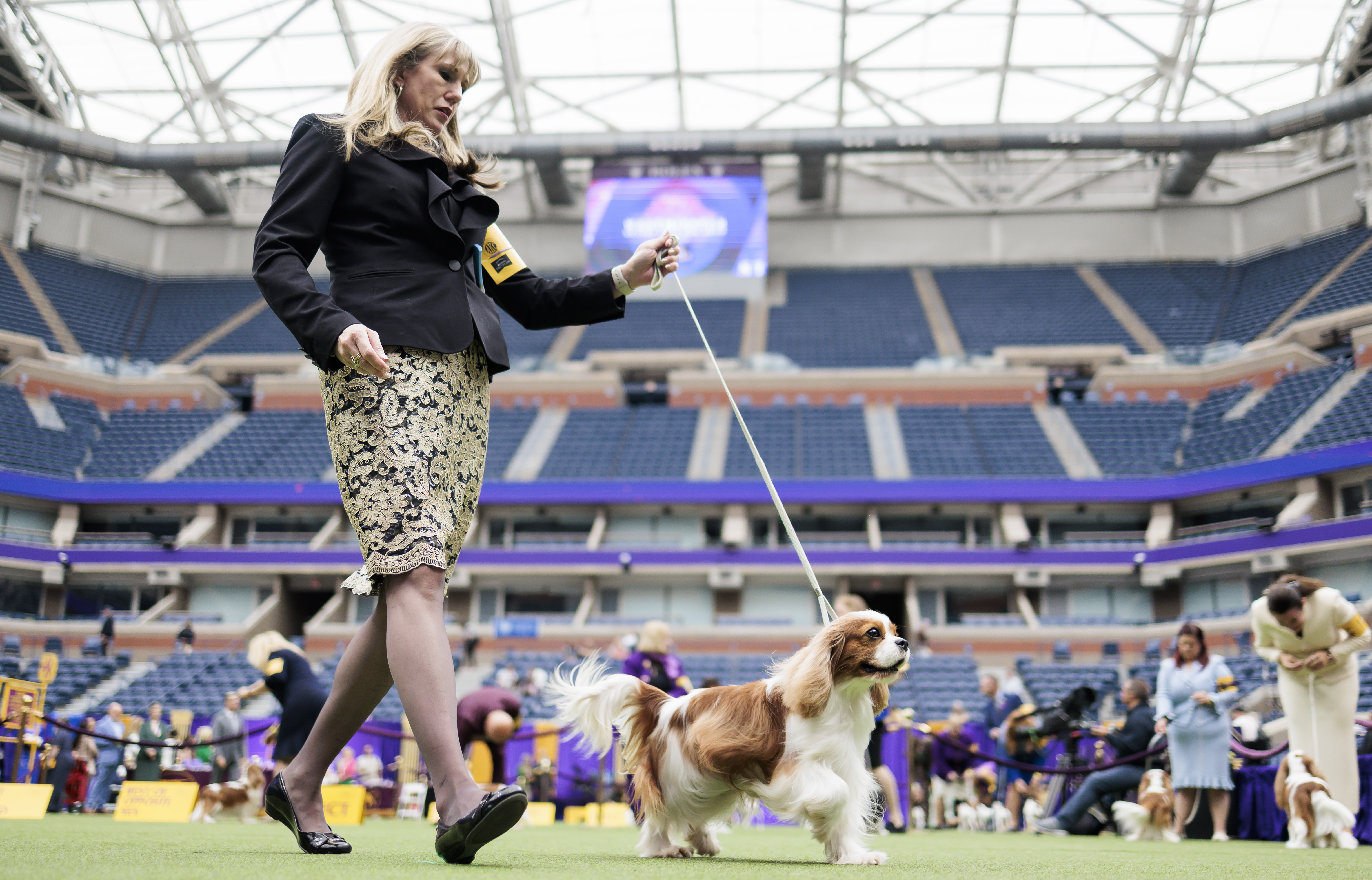 Extra Extra: The dog show has taken center court