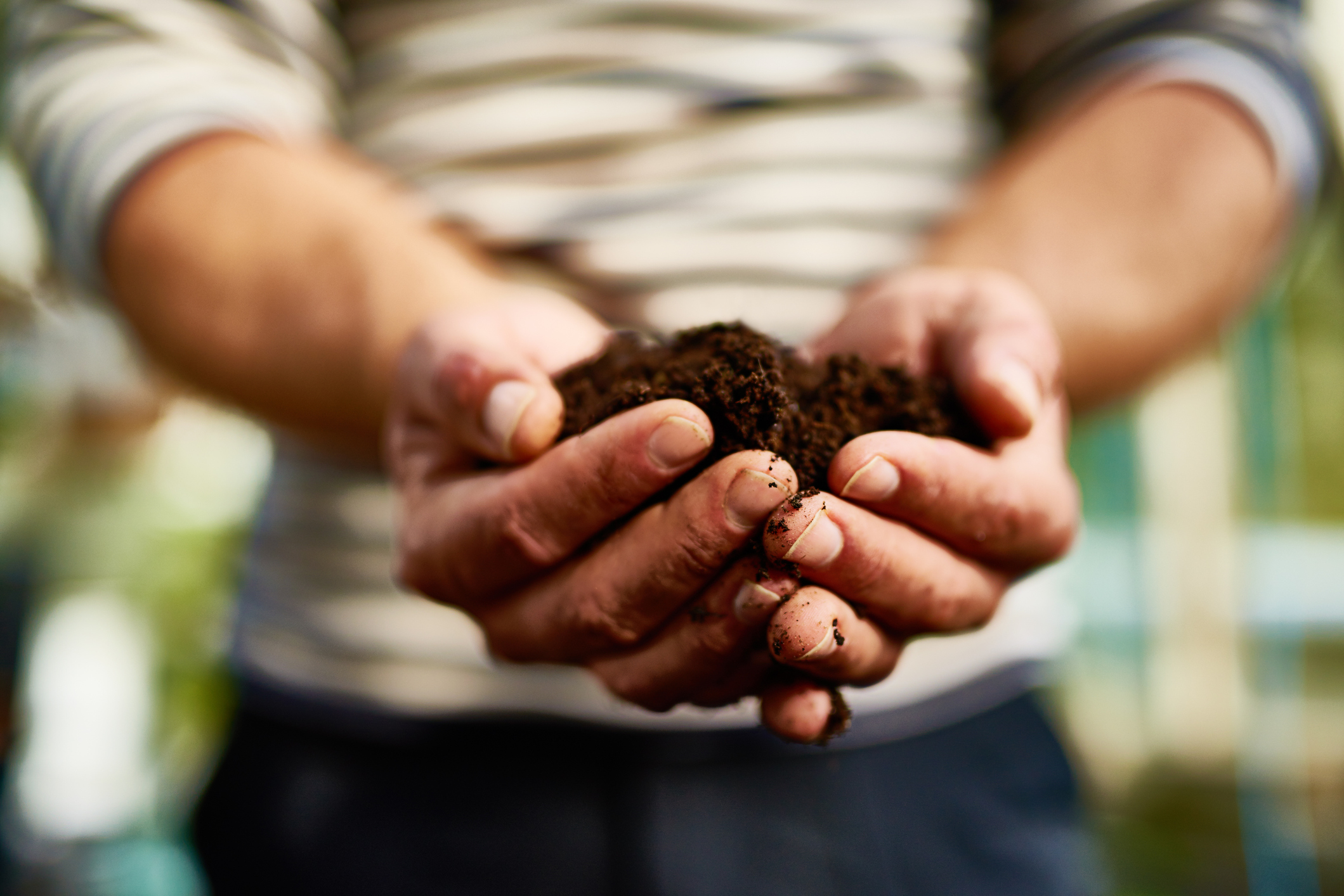 Early Addition: Some people just love to eat a little dirt