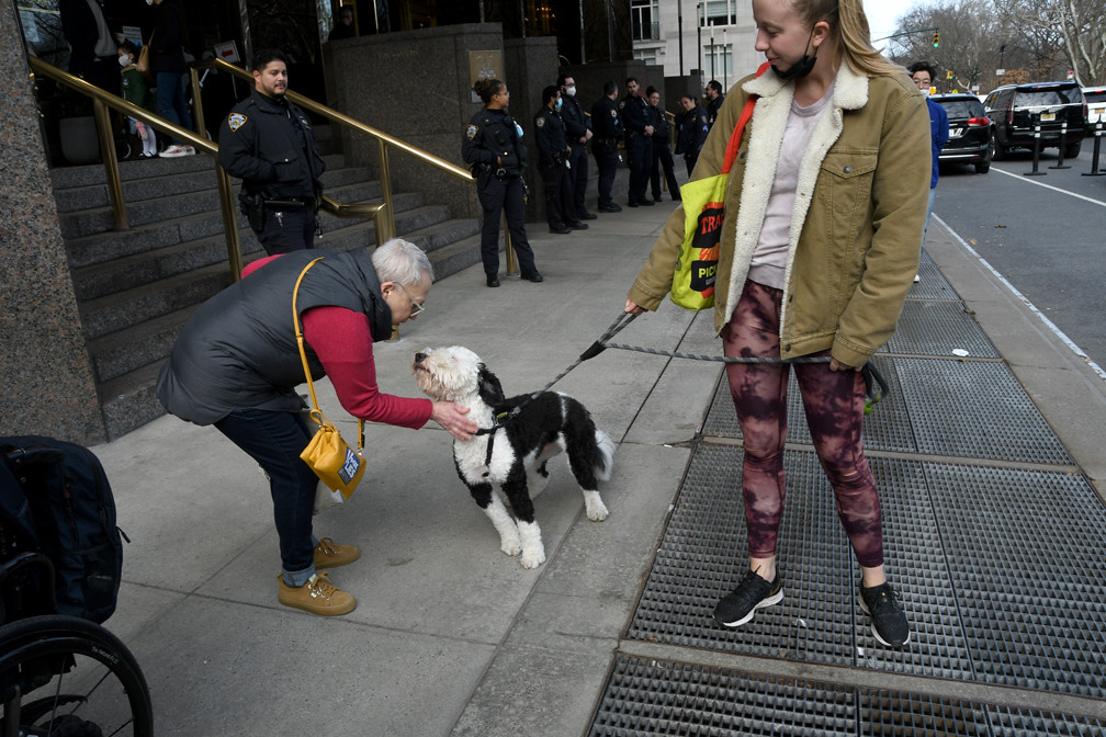 یک سگ گردان در شهر نیویورک