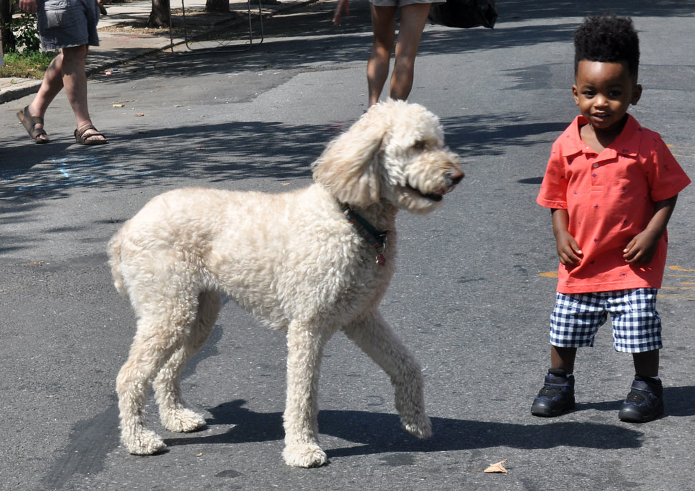 Early Addition: Prince Charles has decided not to name himself King Arthur