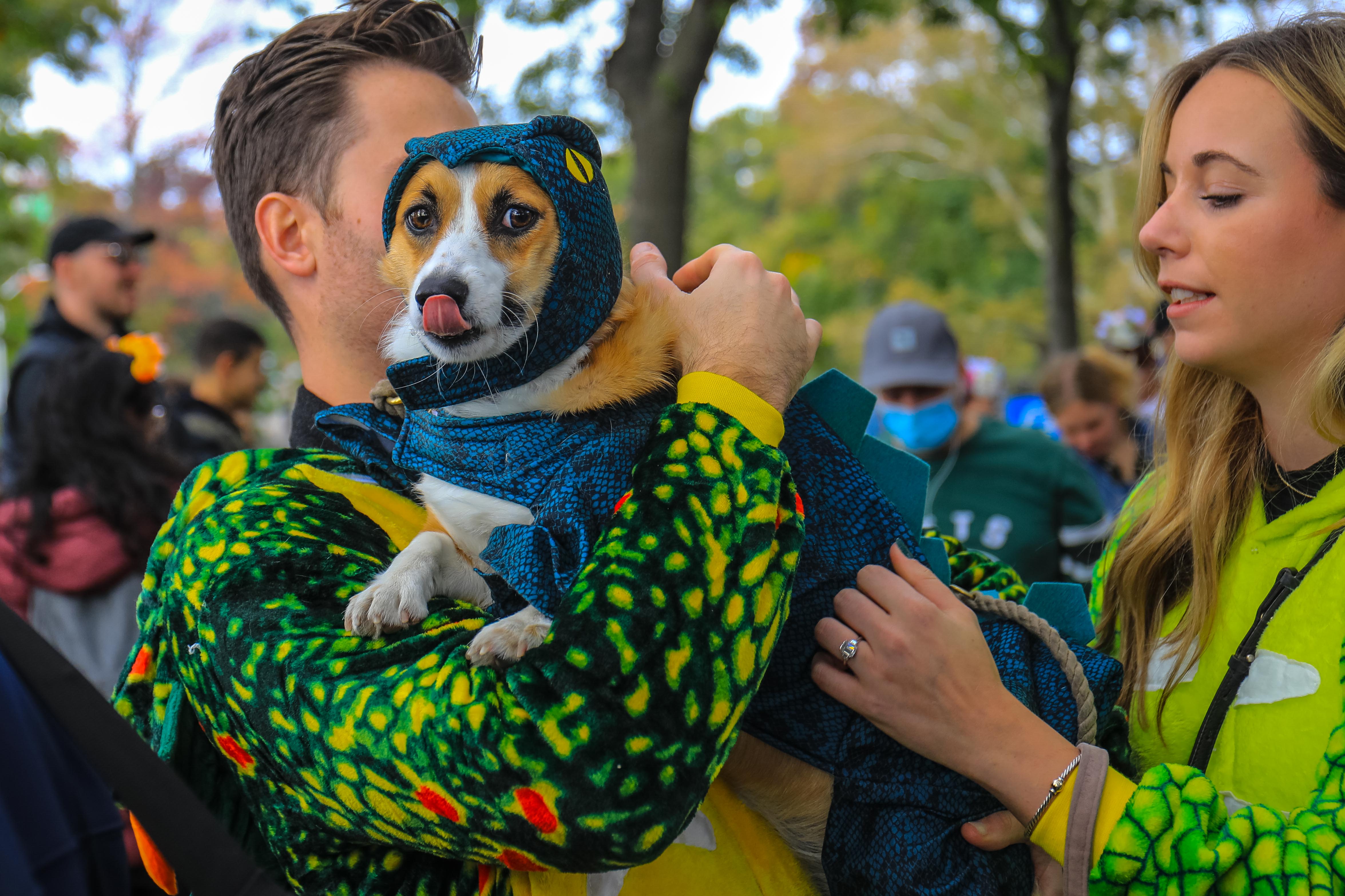 The 31st annual Tompkins Square Halloween dog parade, Art and design