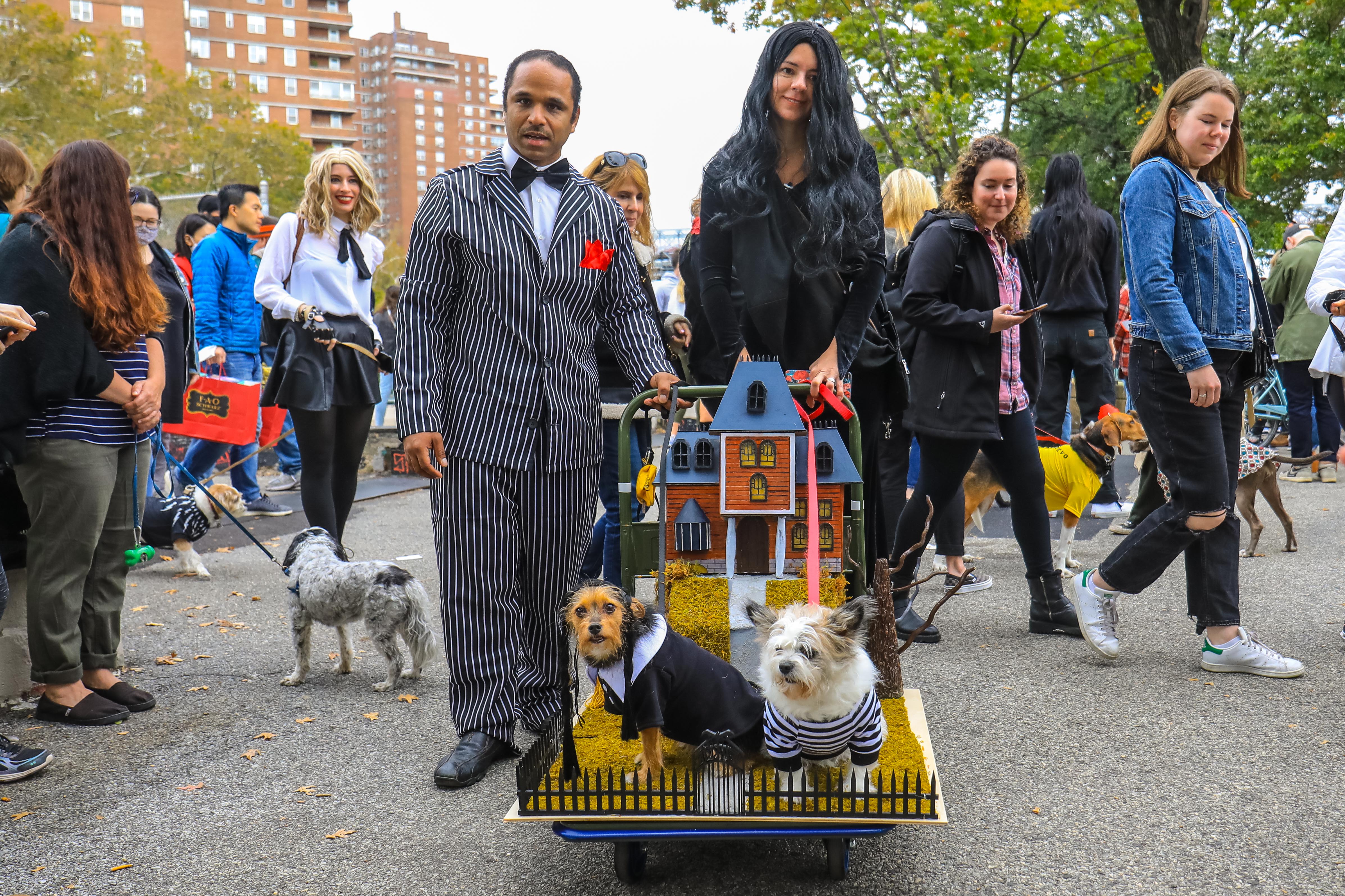 The 31st annual Tompkins Square Halloween dog parade, Art and design