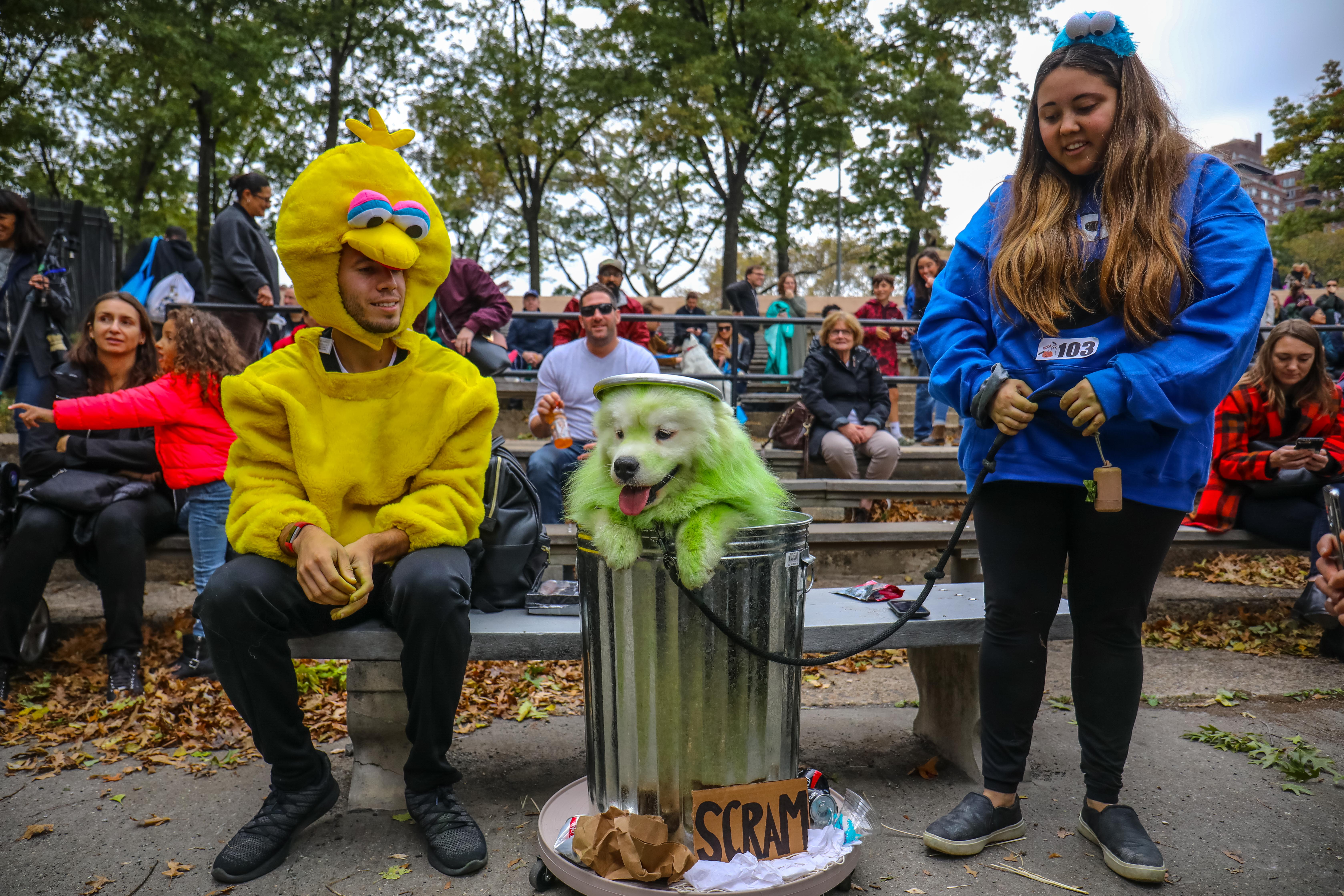 The 31st annual Tompkins Square Halloween dog parade, Art and design