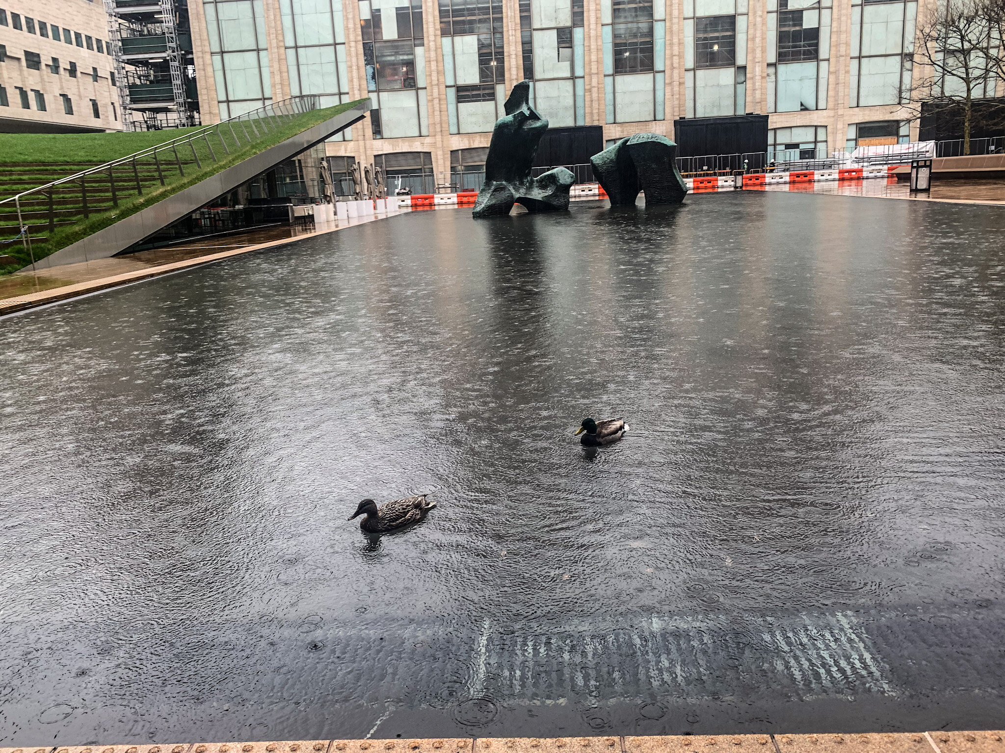 Extra Extra: Even fine dining makes you poop