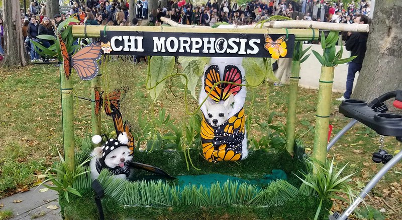 Extra Extra: These Are The Zodiac Signs More Likely To Yield Serial Killers Extra Extra: These Are The Zodiac Signs More Likely To Yield Serial Killers