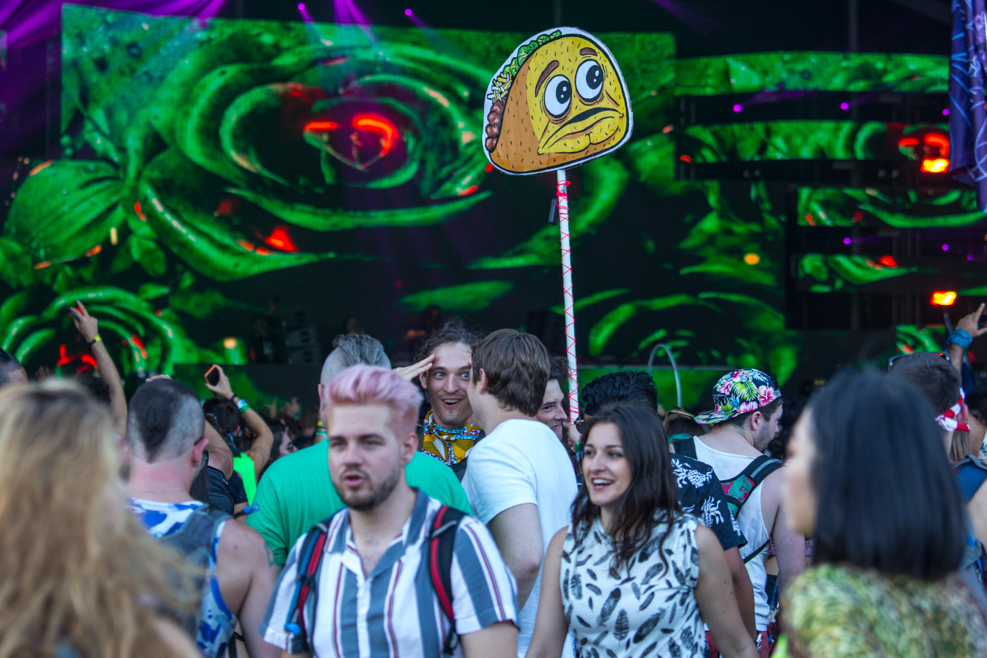 EZOO - Gothamist