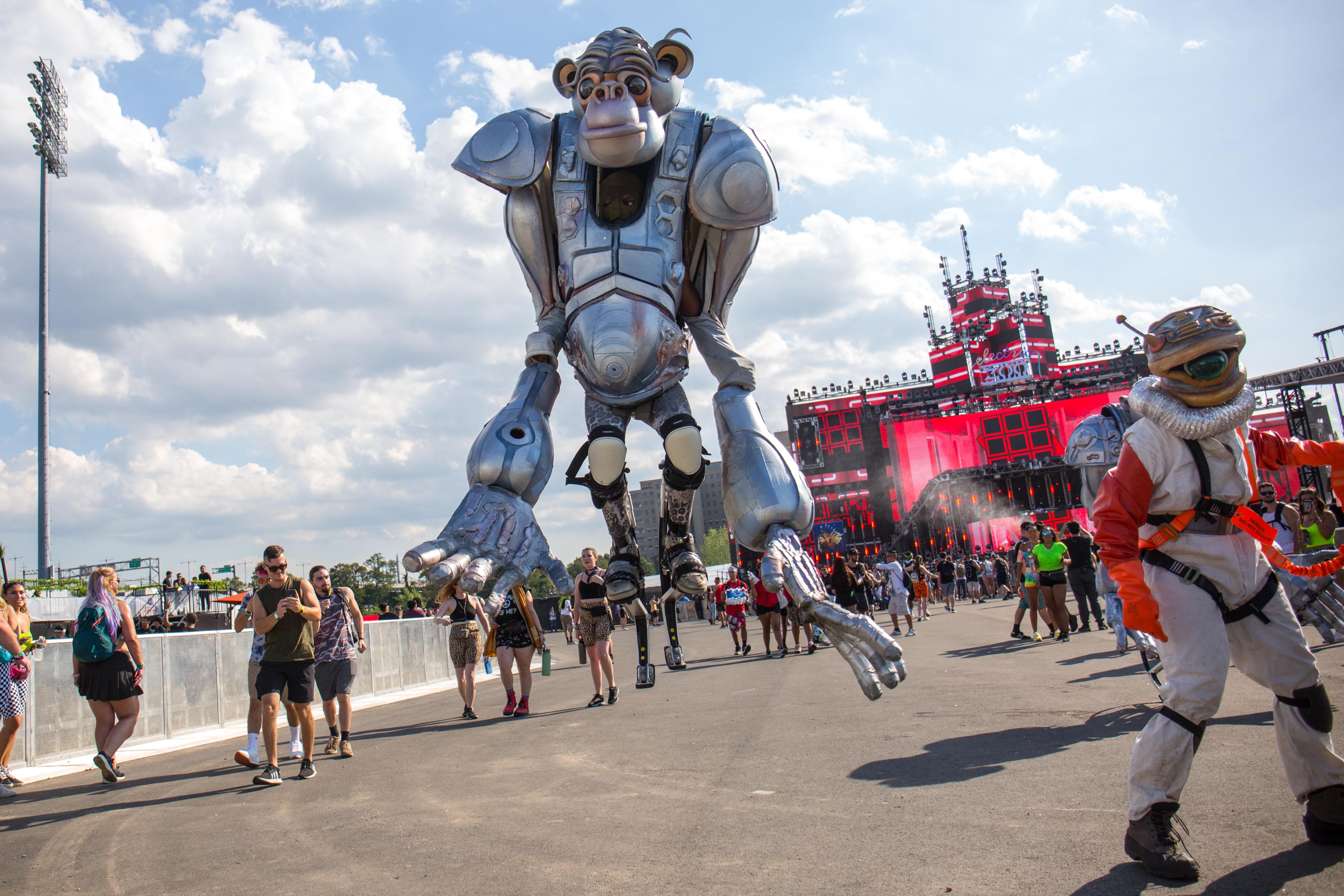 EZOO - Gothamist