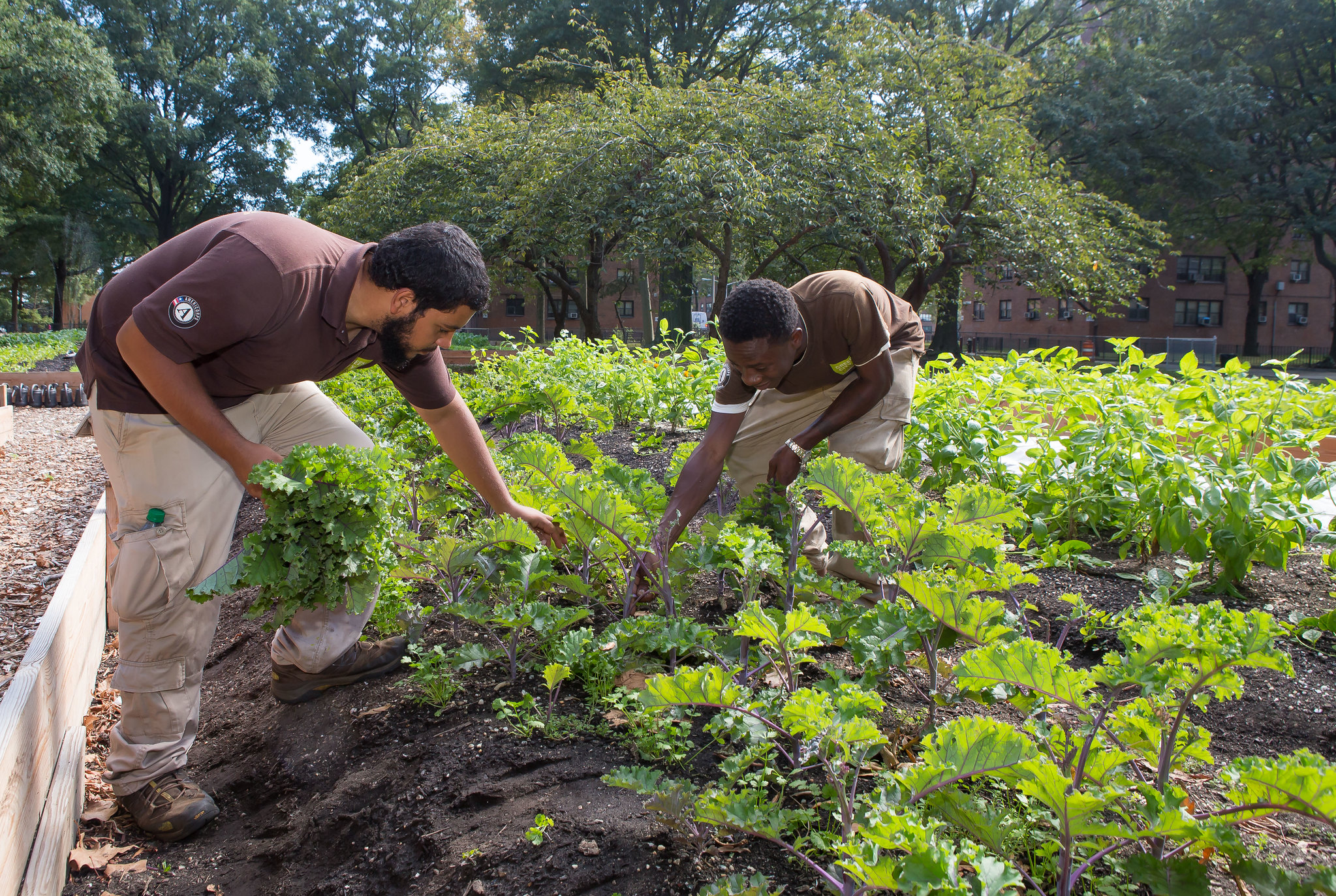 Help Wanted: Young urban farmers for $1,800 per month, no experience necessary