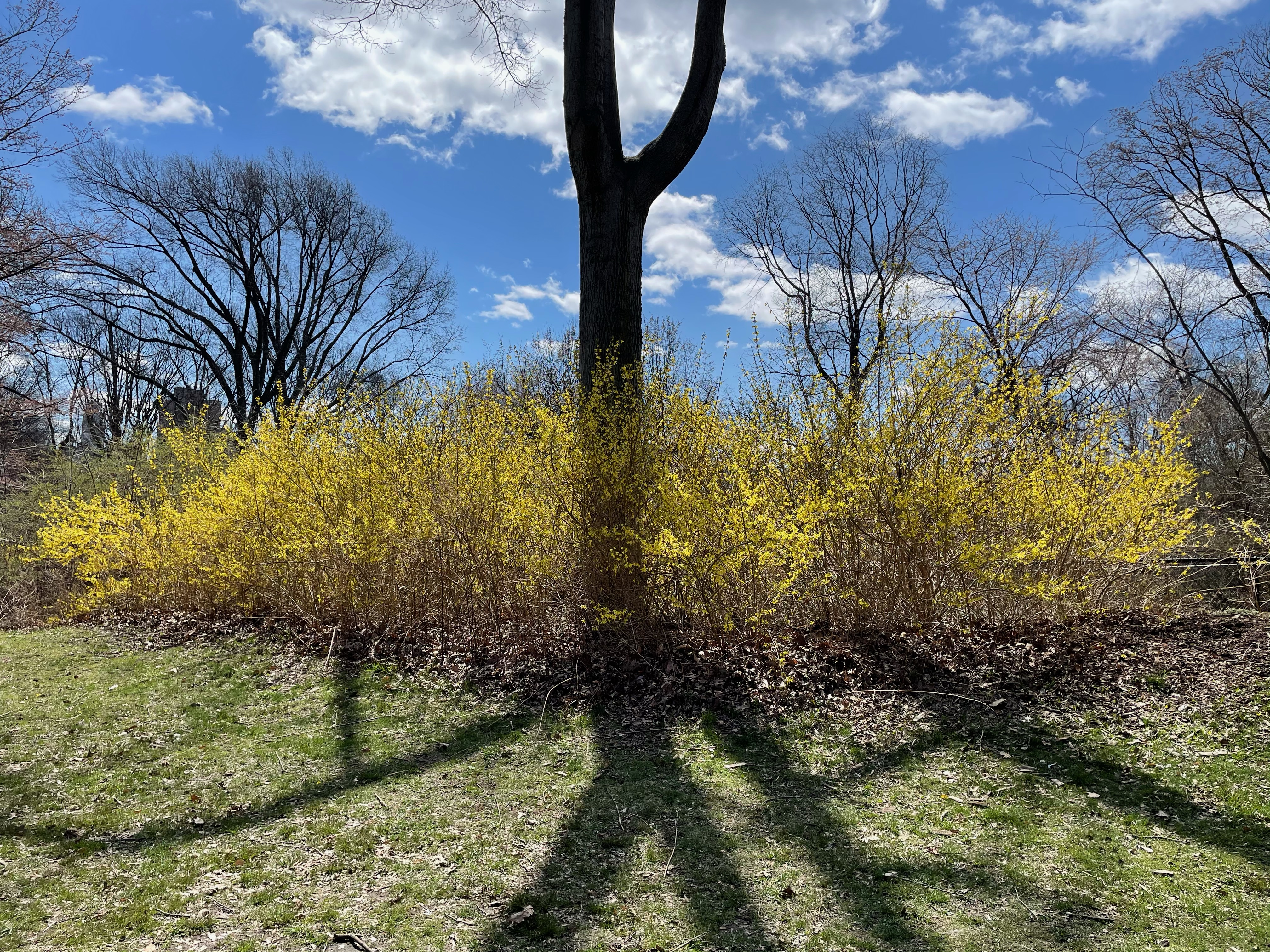 Extra Extra: What Happens When Not Everyone In Your Household Is Vaccinated?