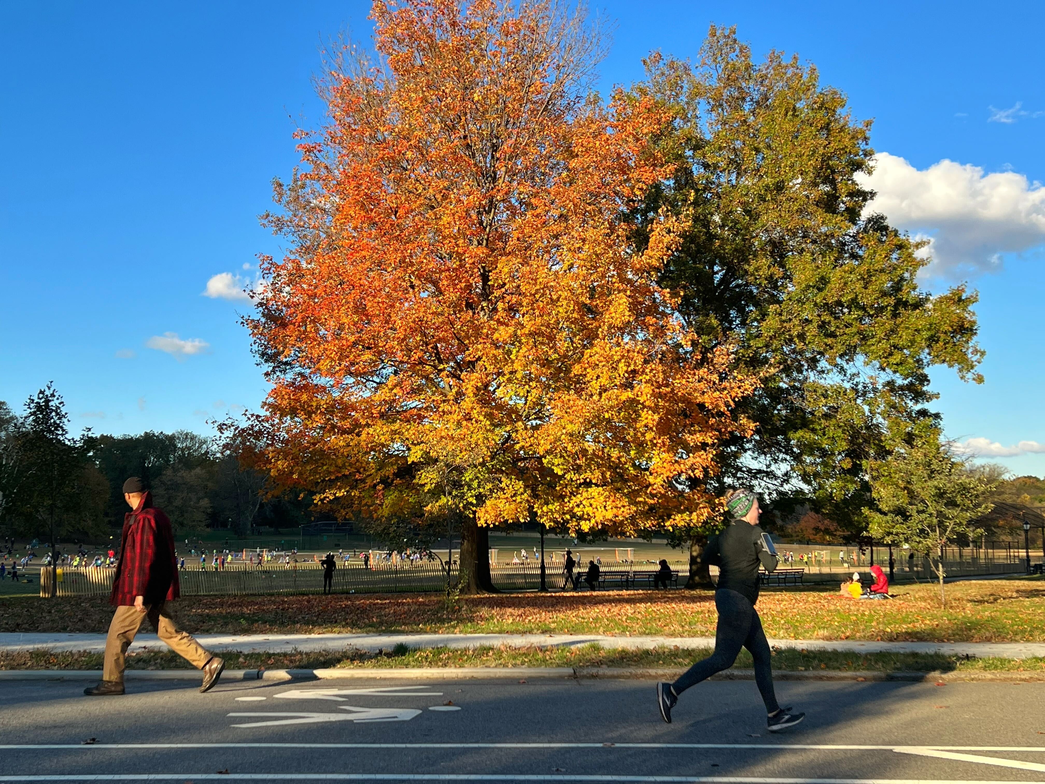 Early Addition: Avocados, No Longer Cool Or Sustainable, Are Normie Food Now