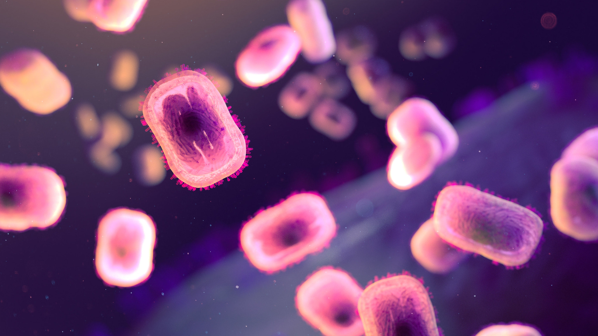 At-risk New Yorkers should get mpox vaccinations, experts say after recent Chicago cluster