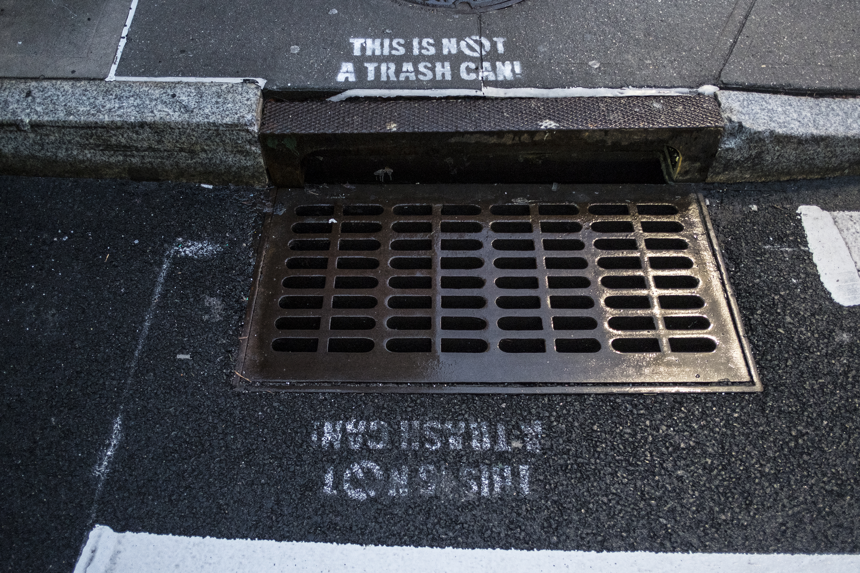 NYC could be doing more with its wastewater health surveillance, city official says