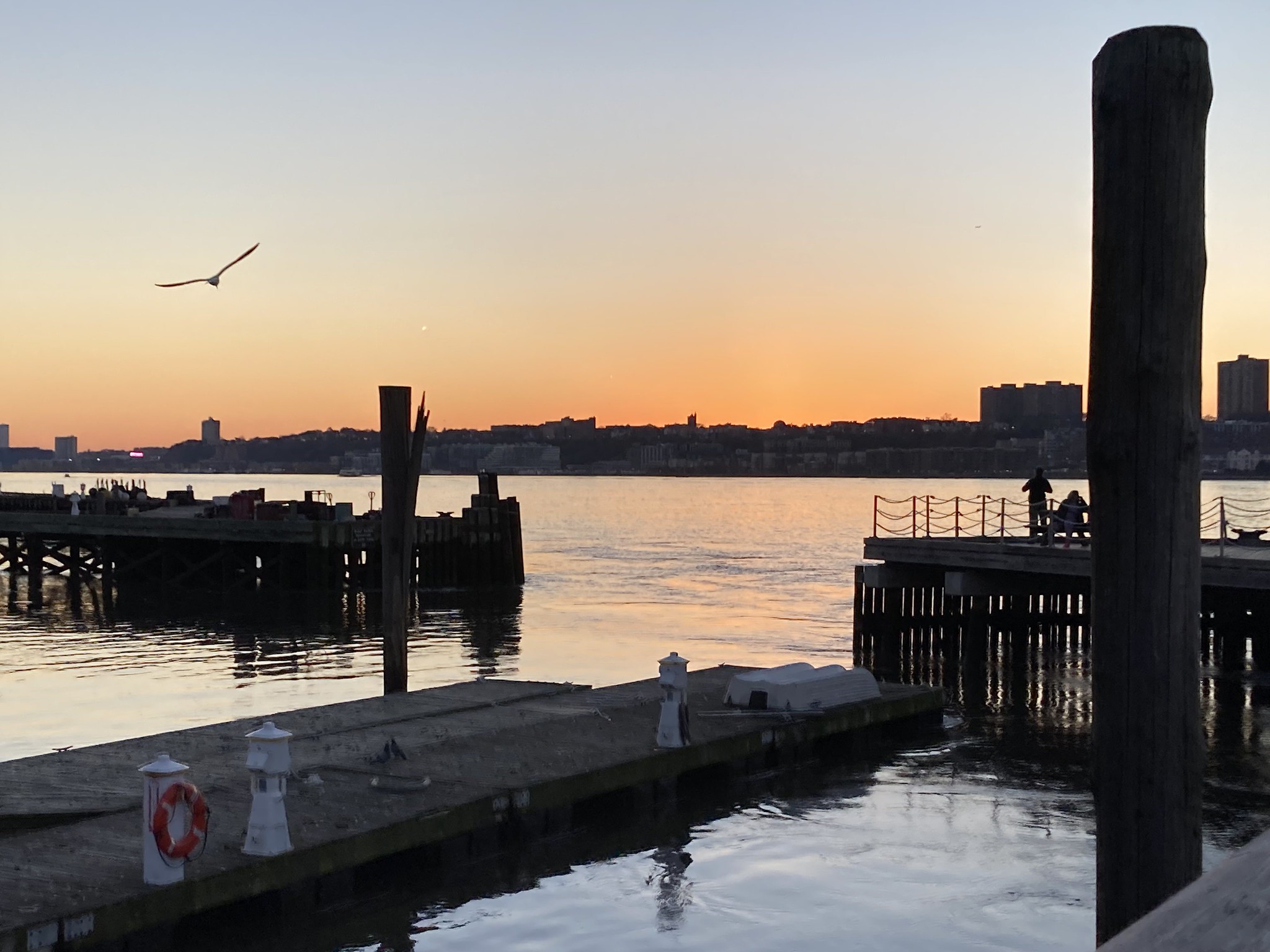 Extra Extra: New Jersey might bring back bear hunting Extra Extra: New Jersey might bring back bear hunting