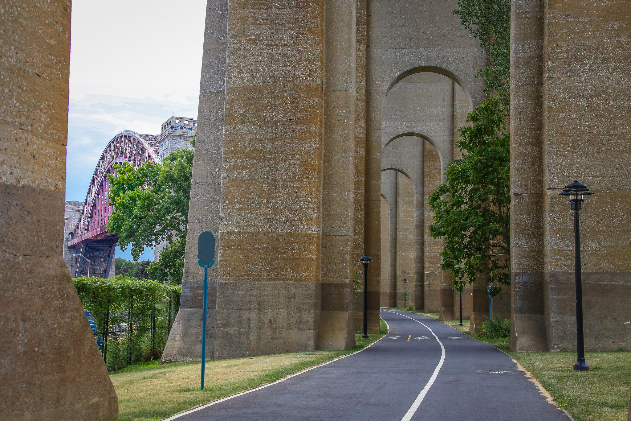 Early Addition: NYC guinea pig craze, it was fun (?) while it lasted