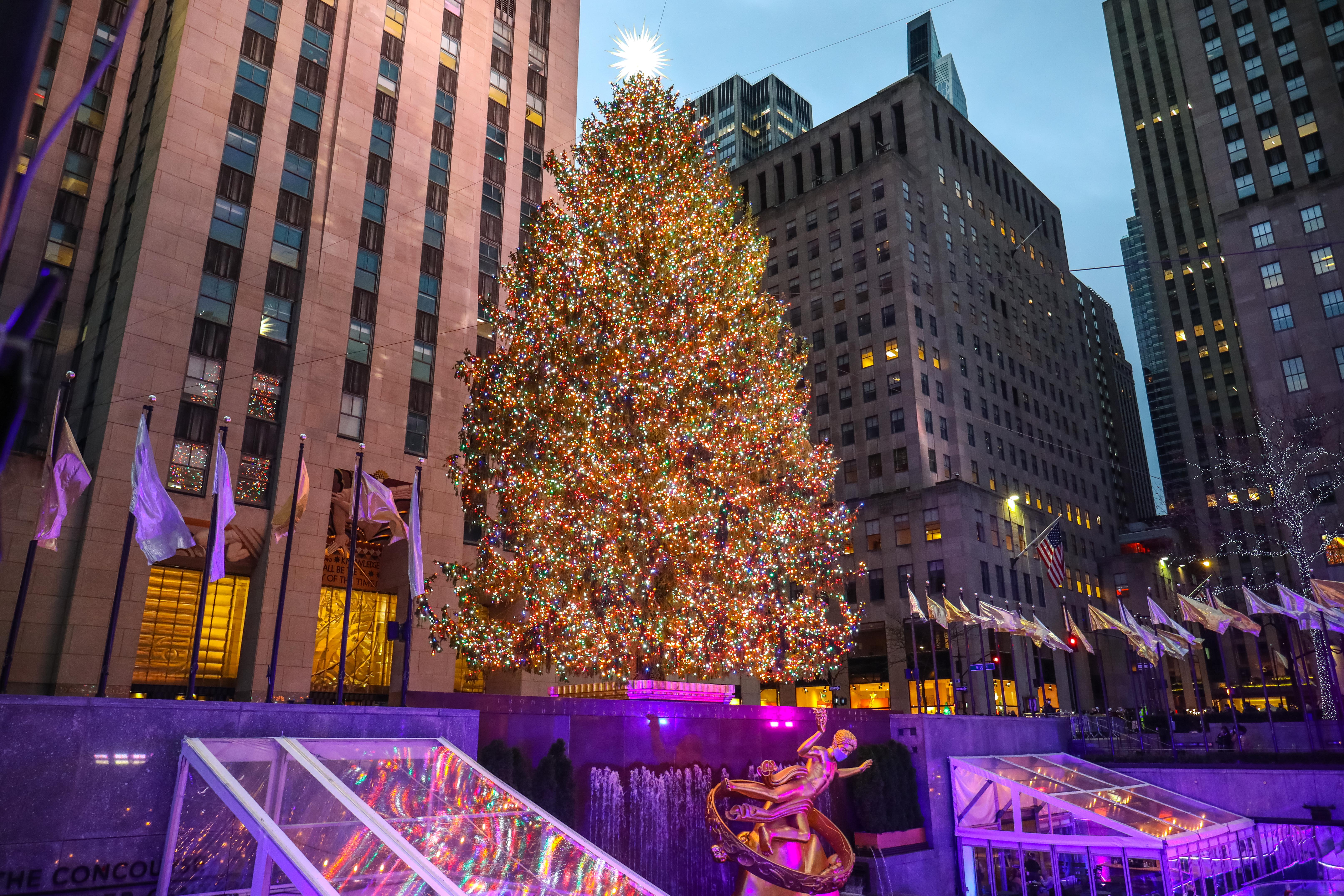 Rockefeller Center's famous Christmas tree 'on brand for 2020' - BBC News