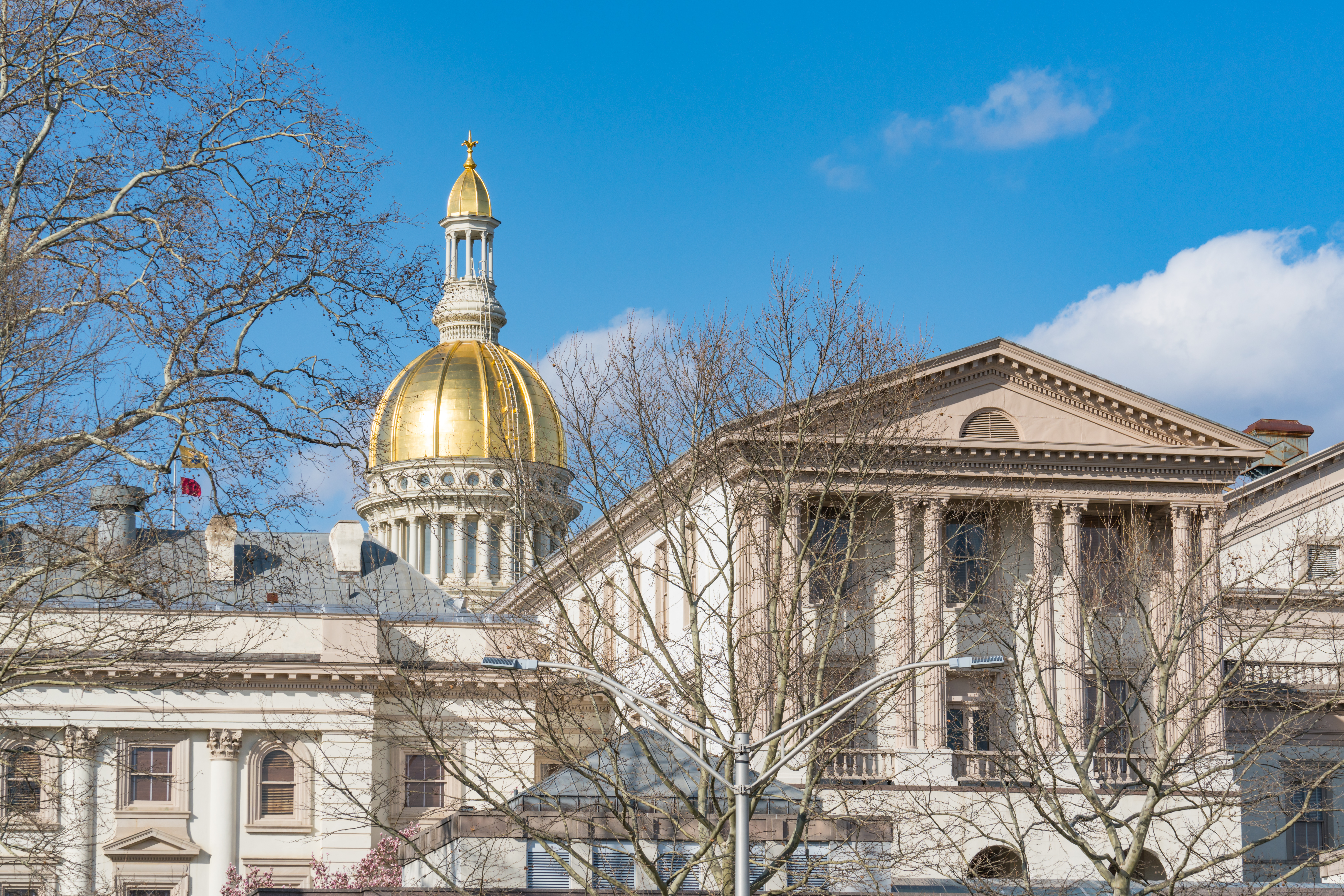 Newark City Council urges support for a state task force on reparations Newark City Council urges support for a state task force on reparations