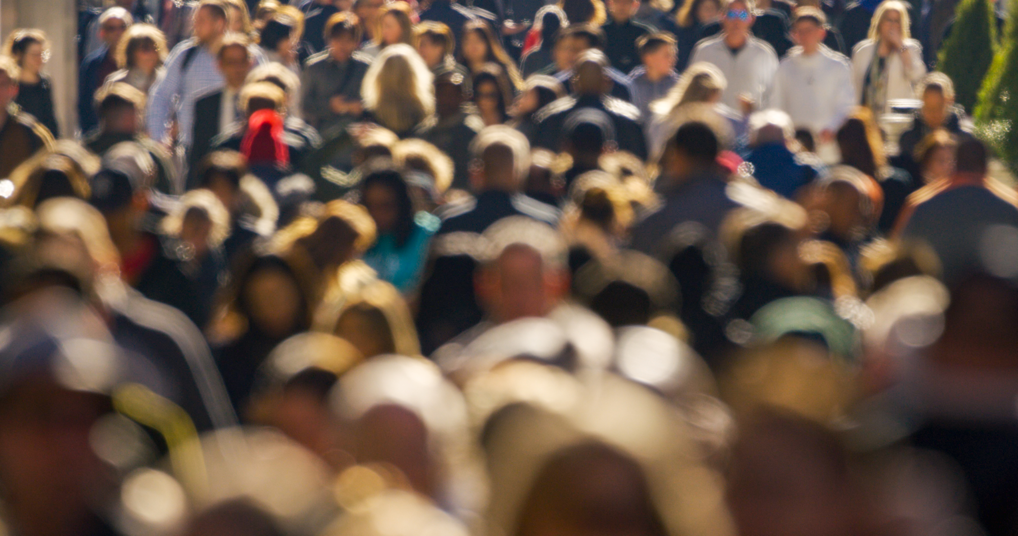 How to desegregate New York City? Start local, these authors say.