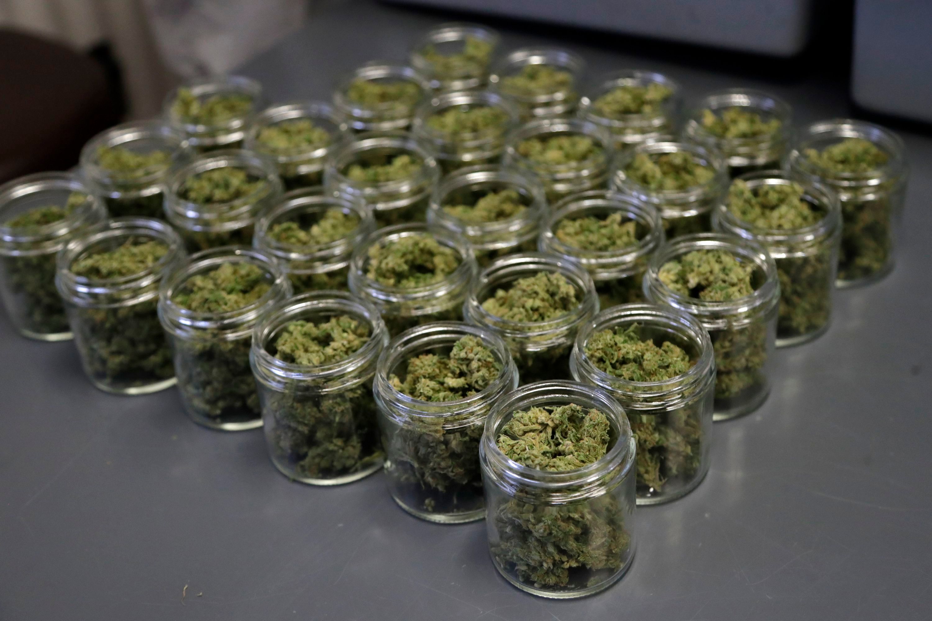 Marijuana Is Finally And Officially Legal In New Jersey. Here’s What That Means. Marijuana Is Finally And Officially Legal In New Jersey. Here’s What That Means.