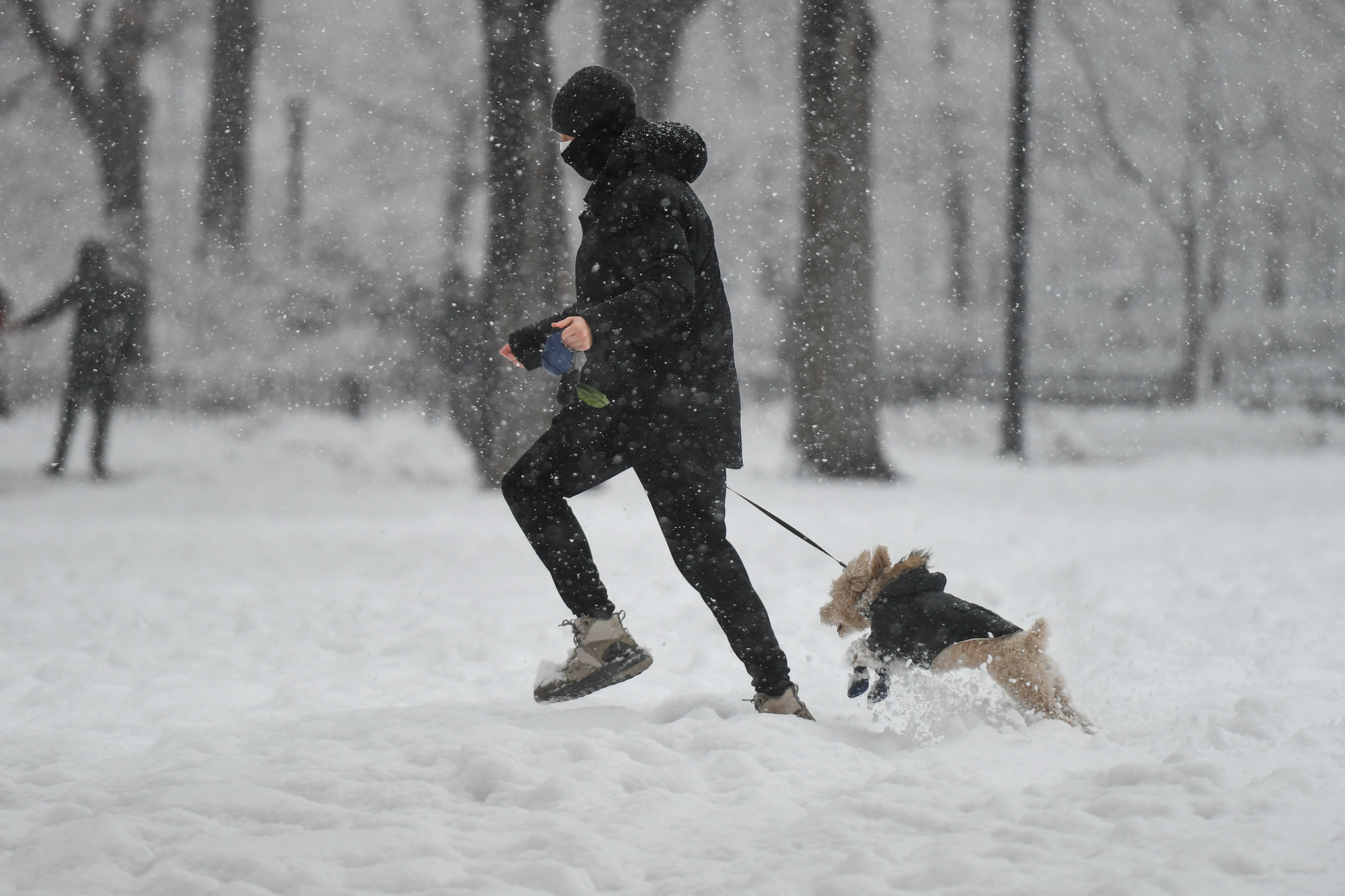 City Investigating Dog Deaths Possibly Linked To Brooklyn Park City Investigating Dog Deaths Possibly Linked To Brooklyn Park